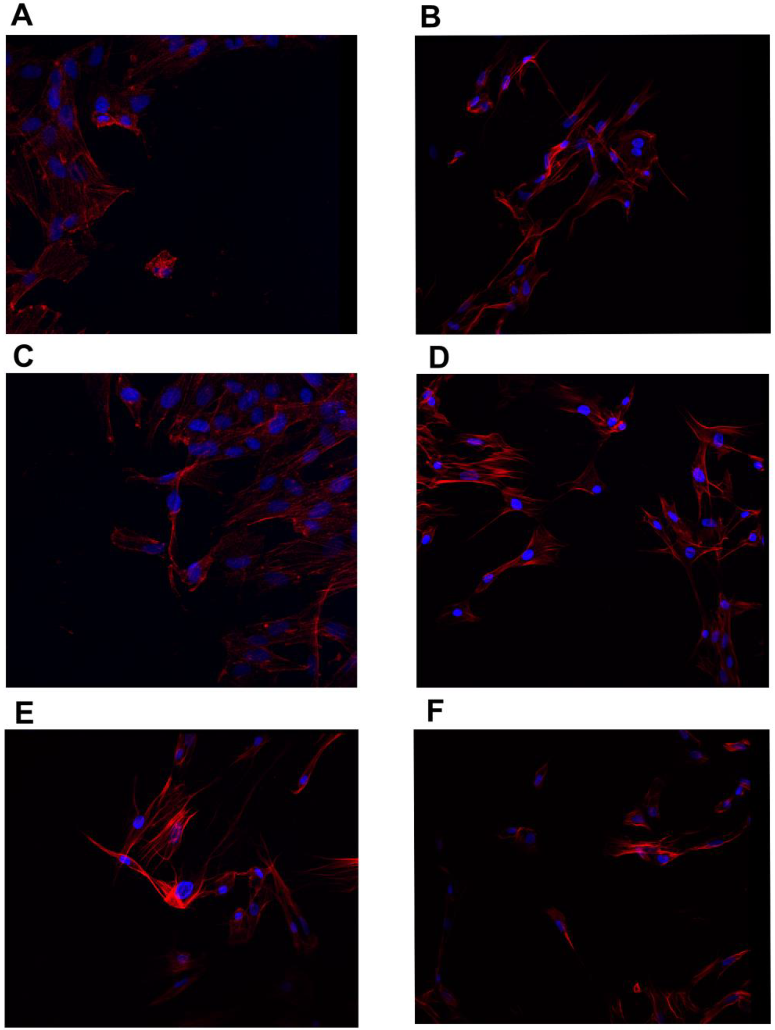 Jfb 13 00278 g005 Jfb 13 00278 g005