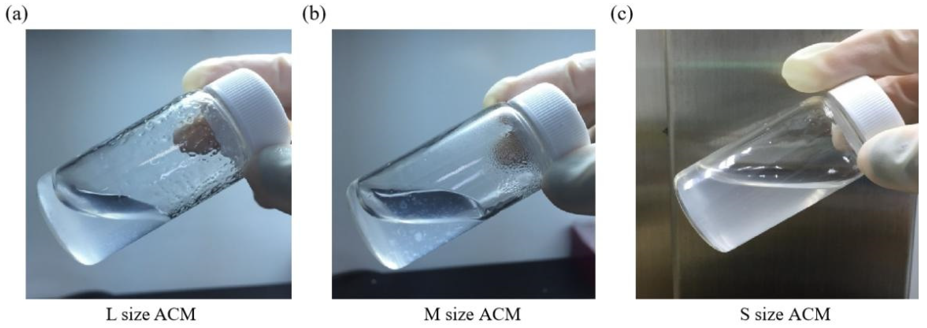 Jfb 13 00279 g004 Jfb 13 00279 g004