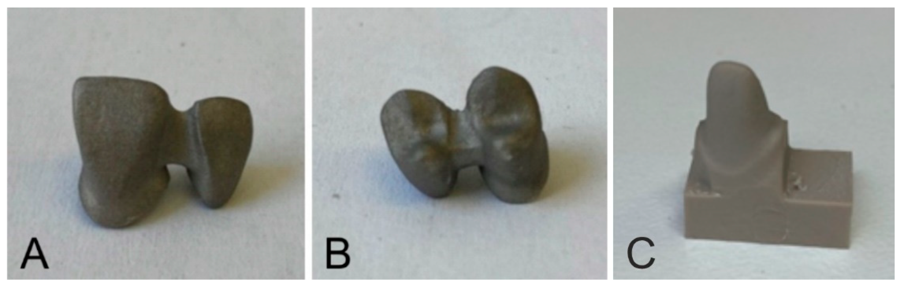 Jfb 13 00286 g003 Jfb 13 00286 g003