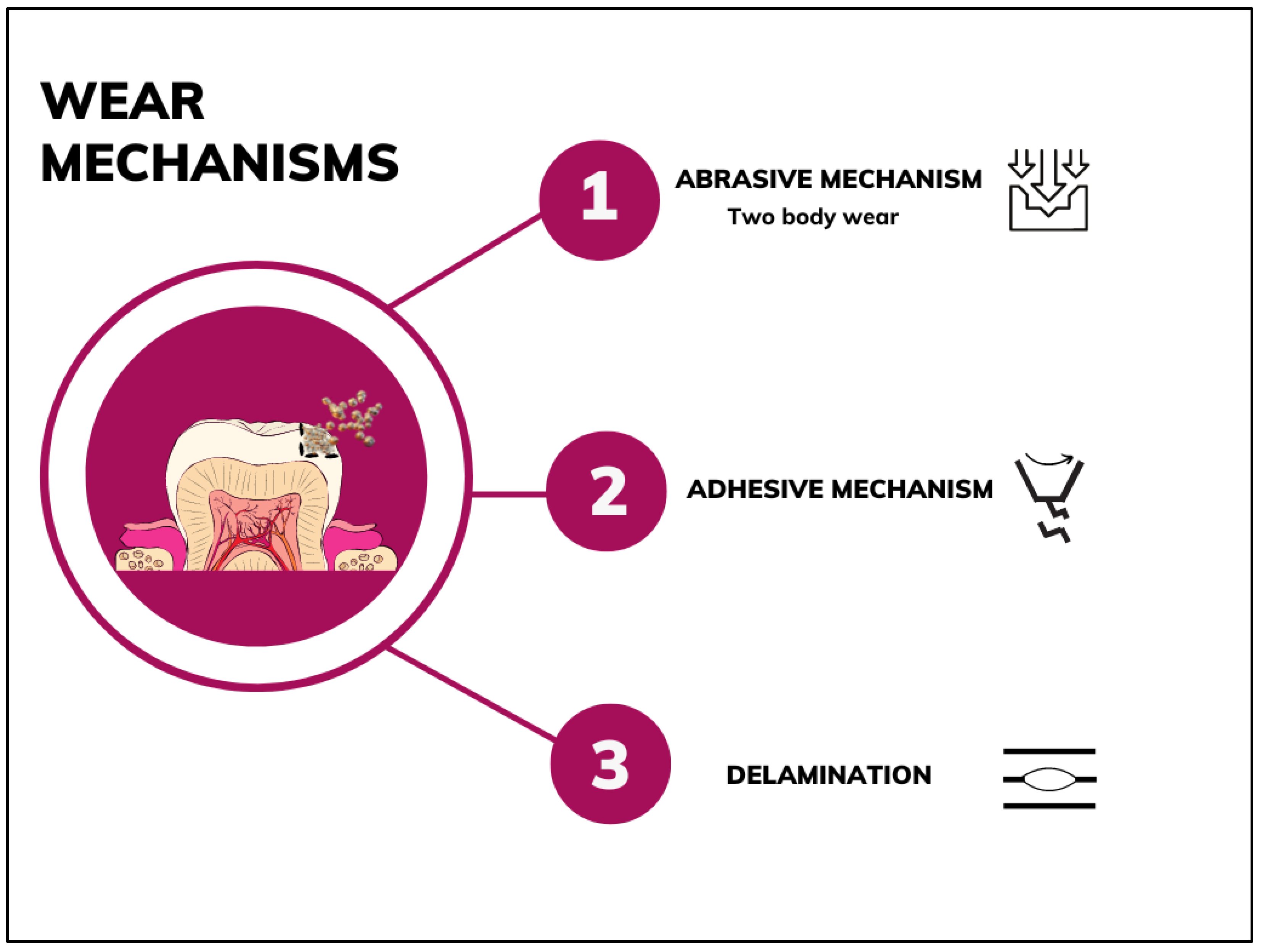 Jfb 13 00287 g002 Jfb 13 00287 g002