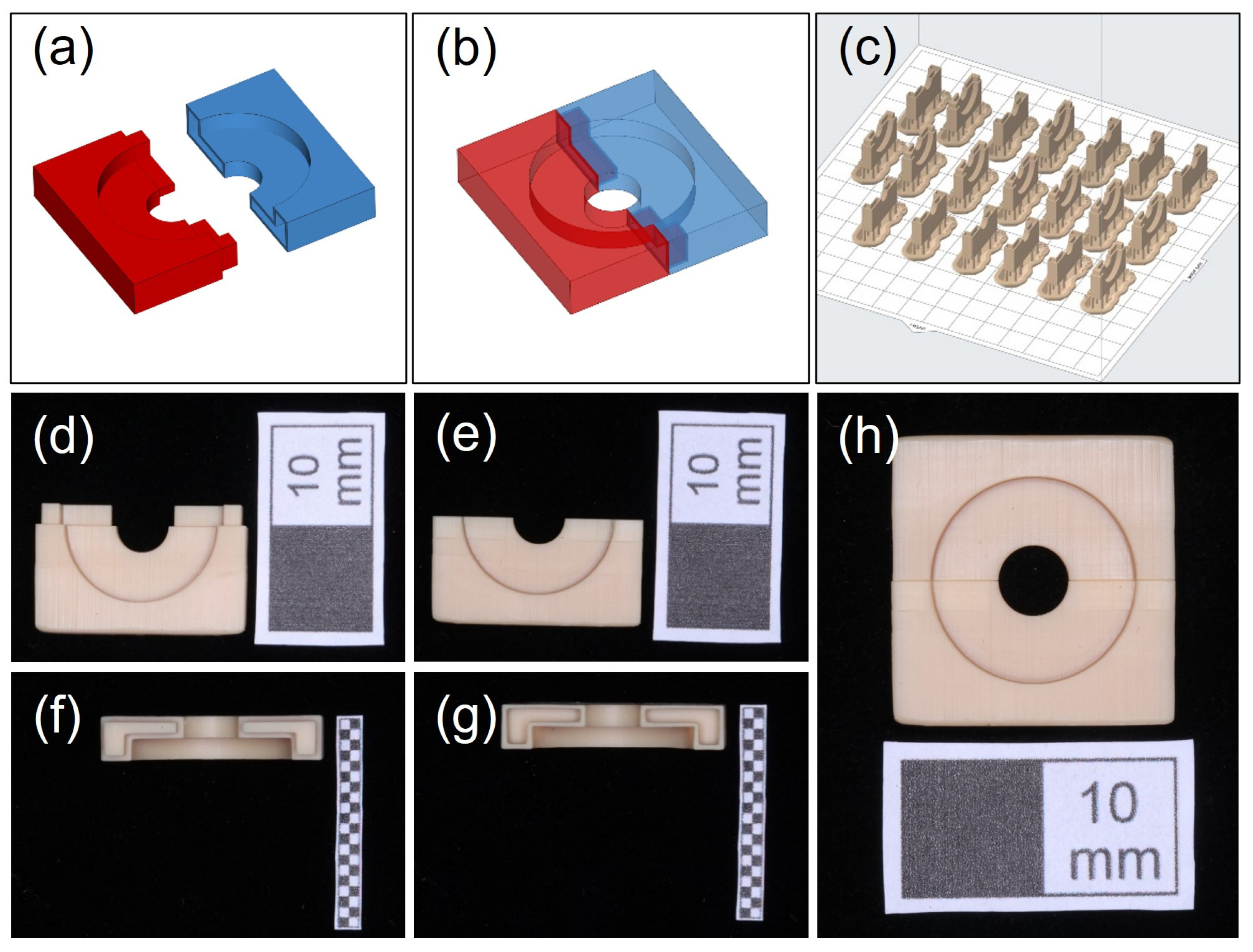 Jfb 13 00288 g001 Jfb 13 00288 g001