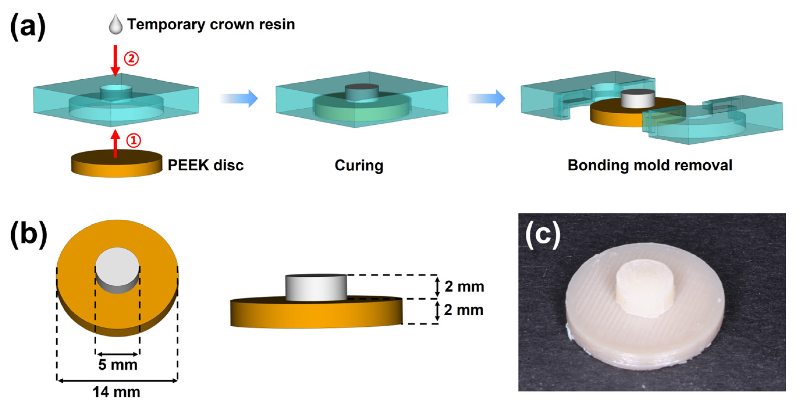 Jfb 13 00288 g002 Jfb 13 00288 g002