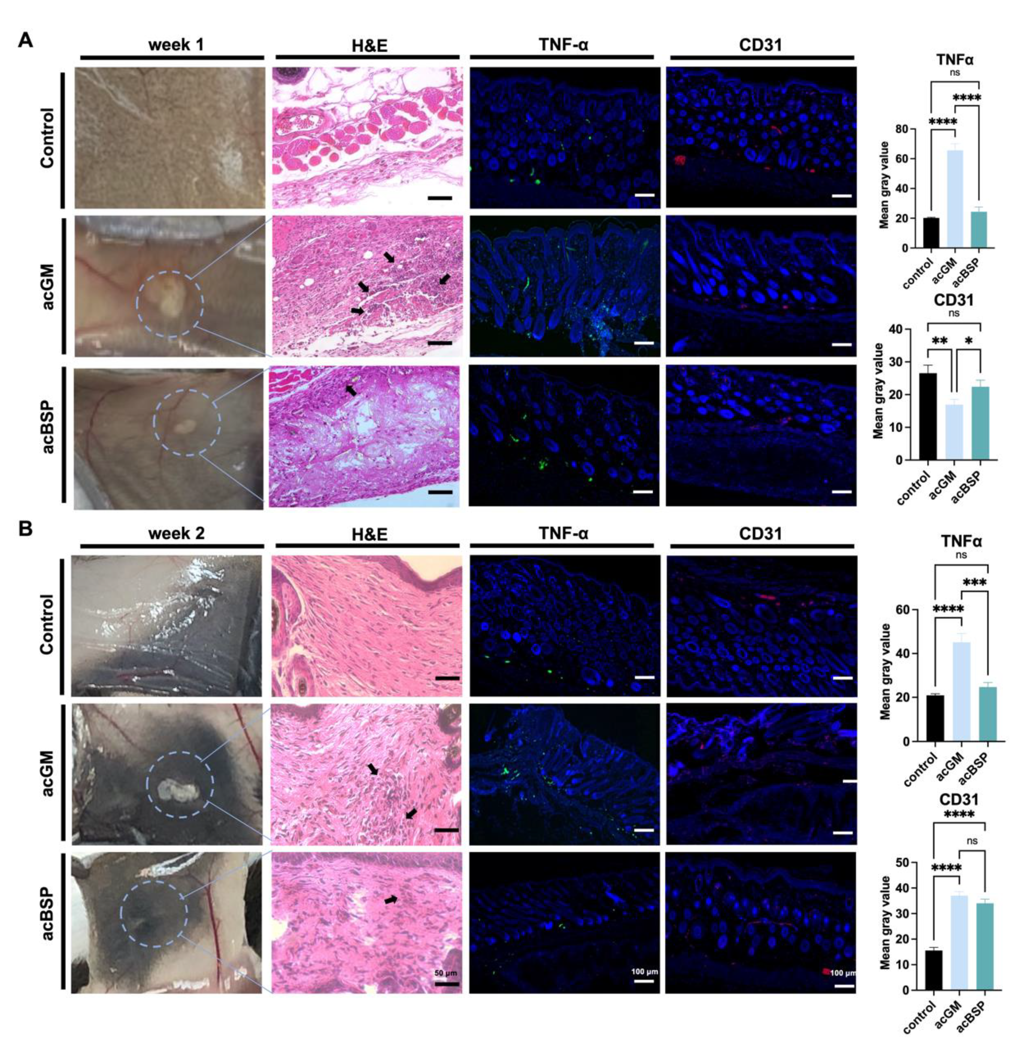 Jfb 13 00293 g004 Jfb 13 00293 g004