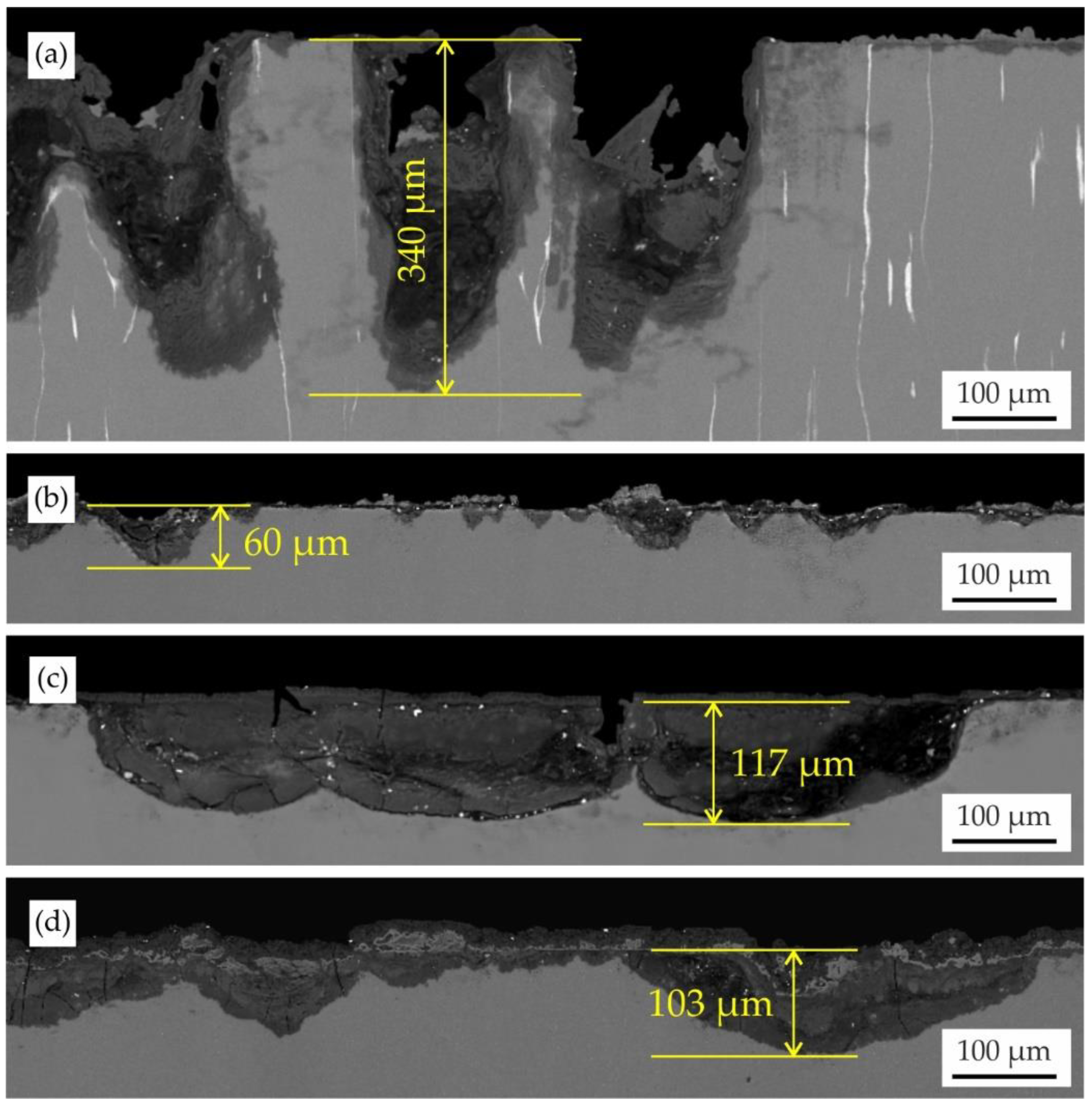 Jfb 13 00294 g007 Jfb 13 00294 g007