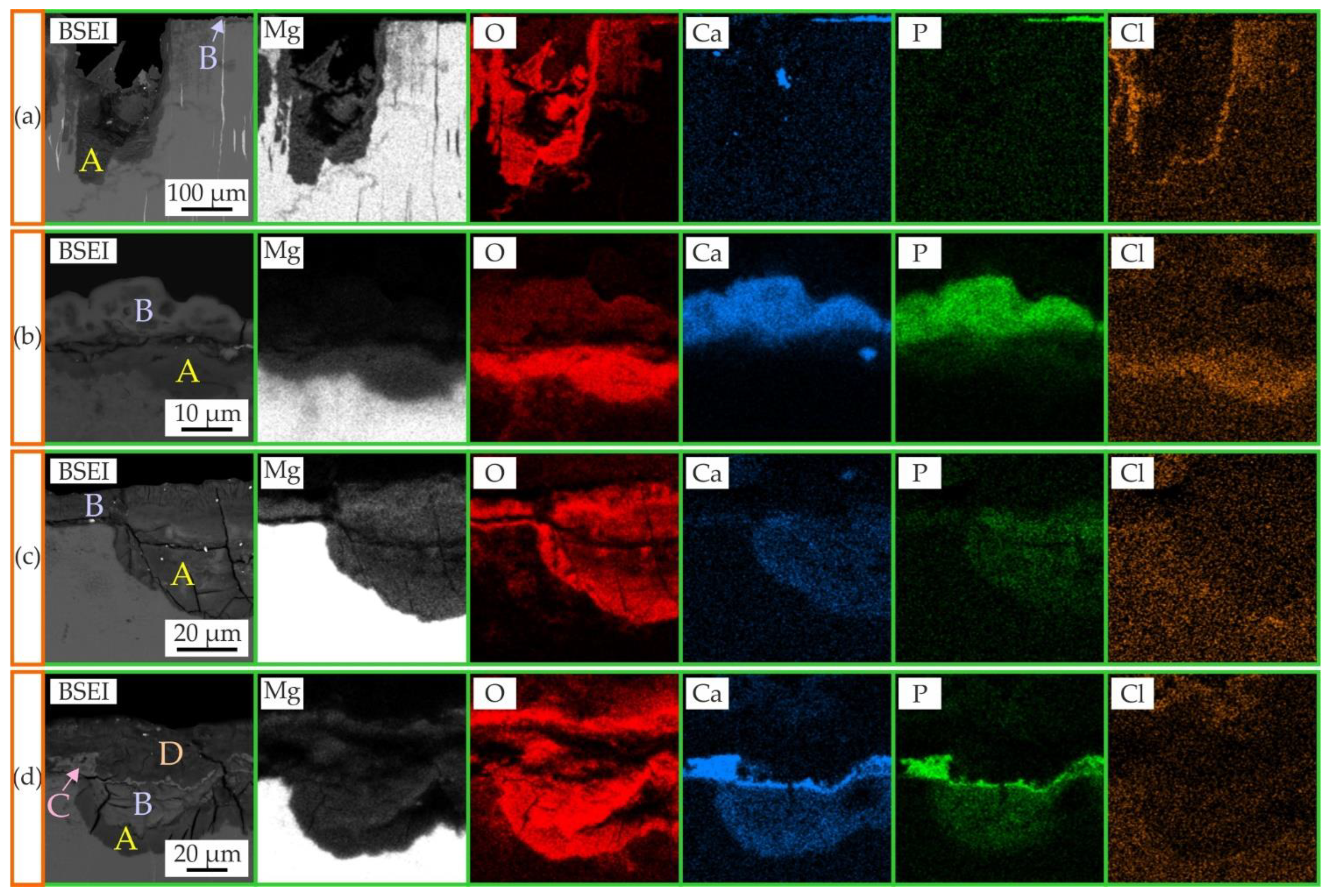 Jfb 13 00294 g008 Jfb 13 00294 g008