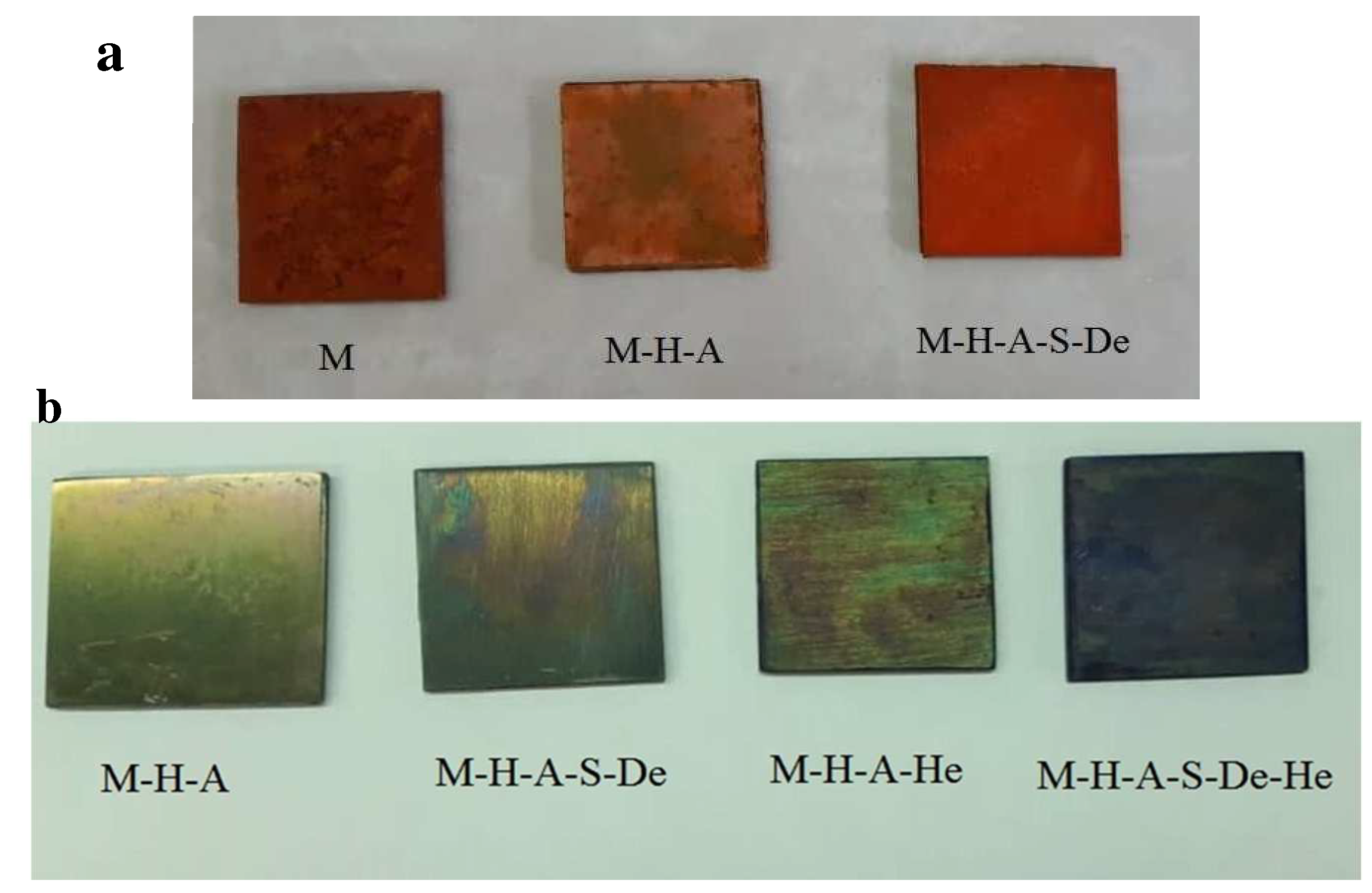 Jfb 13 00296 g003 Jfb 13 00296 g003