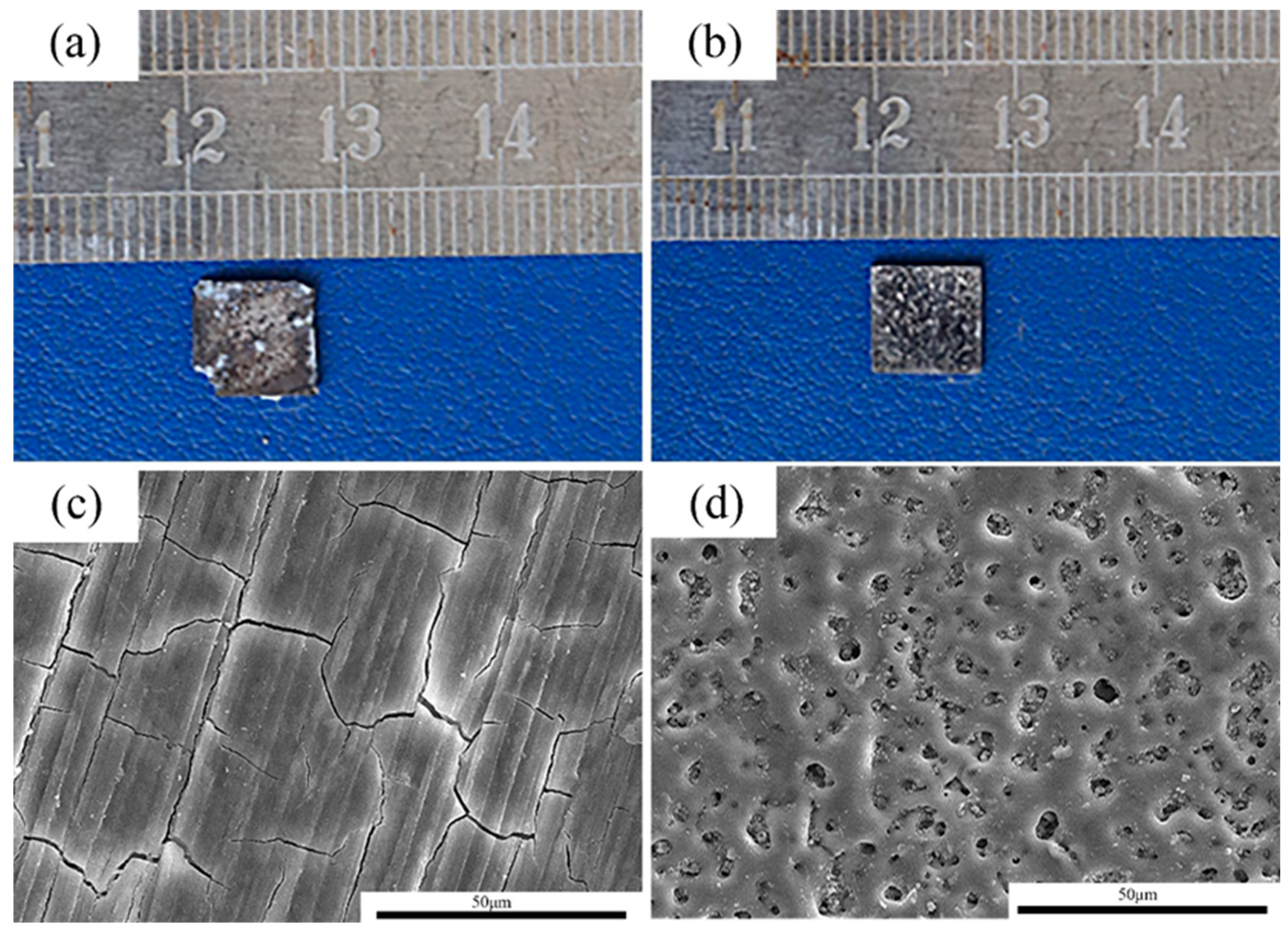 Jfb 13 00298 g005 Jfb 13 00298 g005