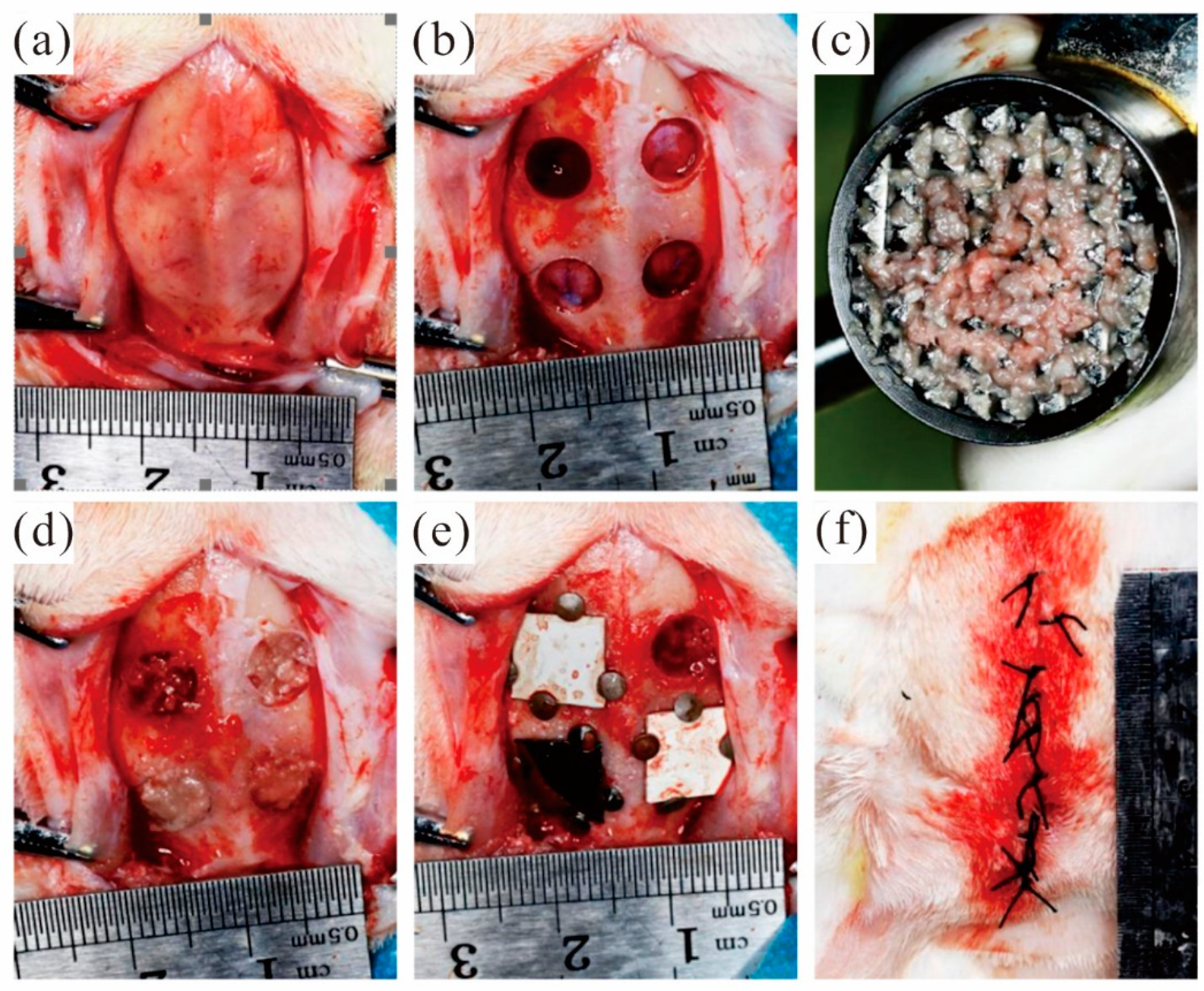 Jfb 13 00298 g007 Jfb 13 00298 g007