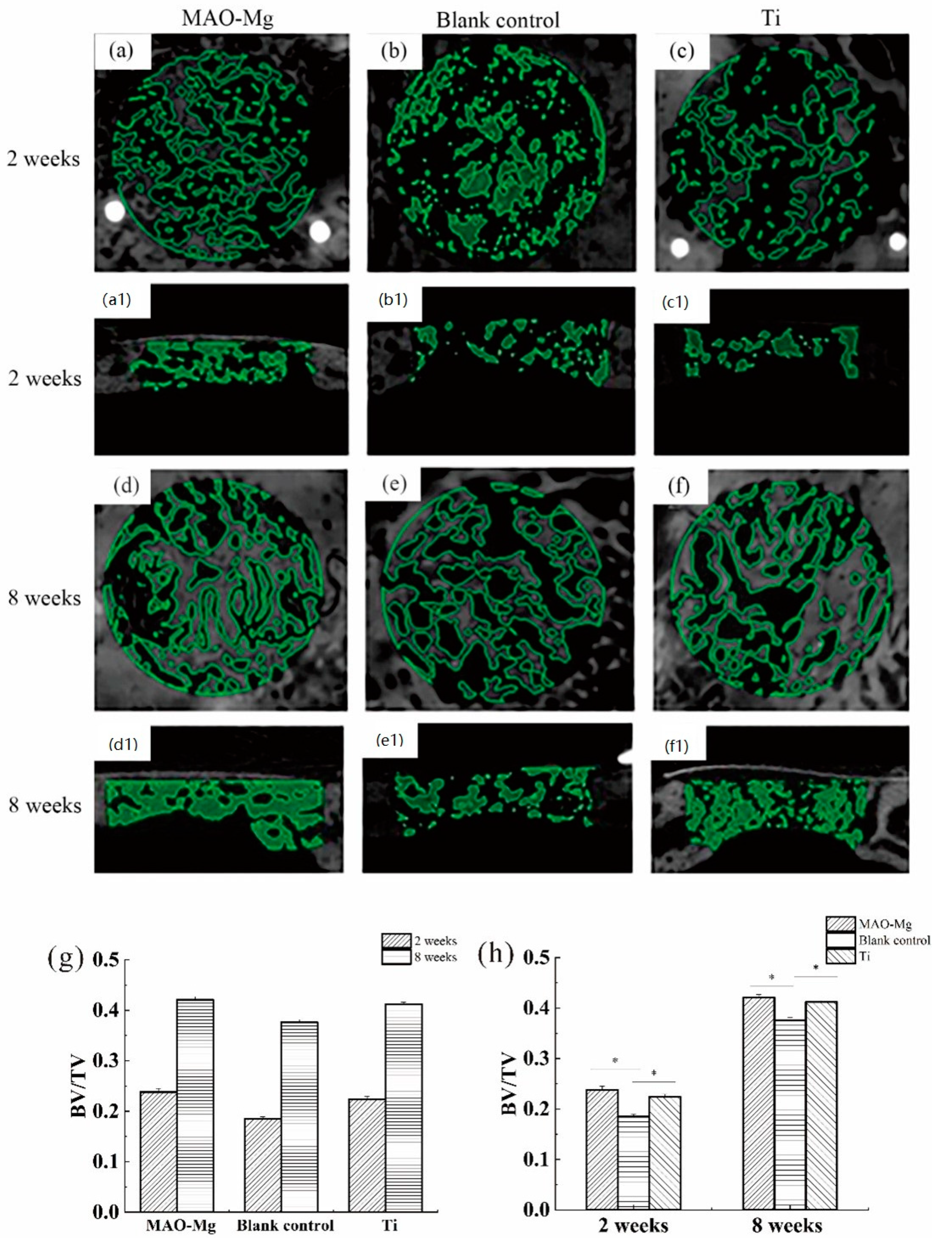 Jfb 13 00298 g008 Jfb 13 00298 g008