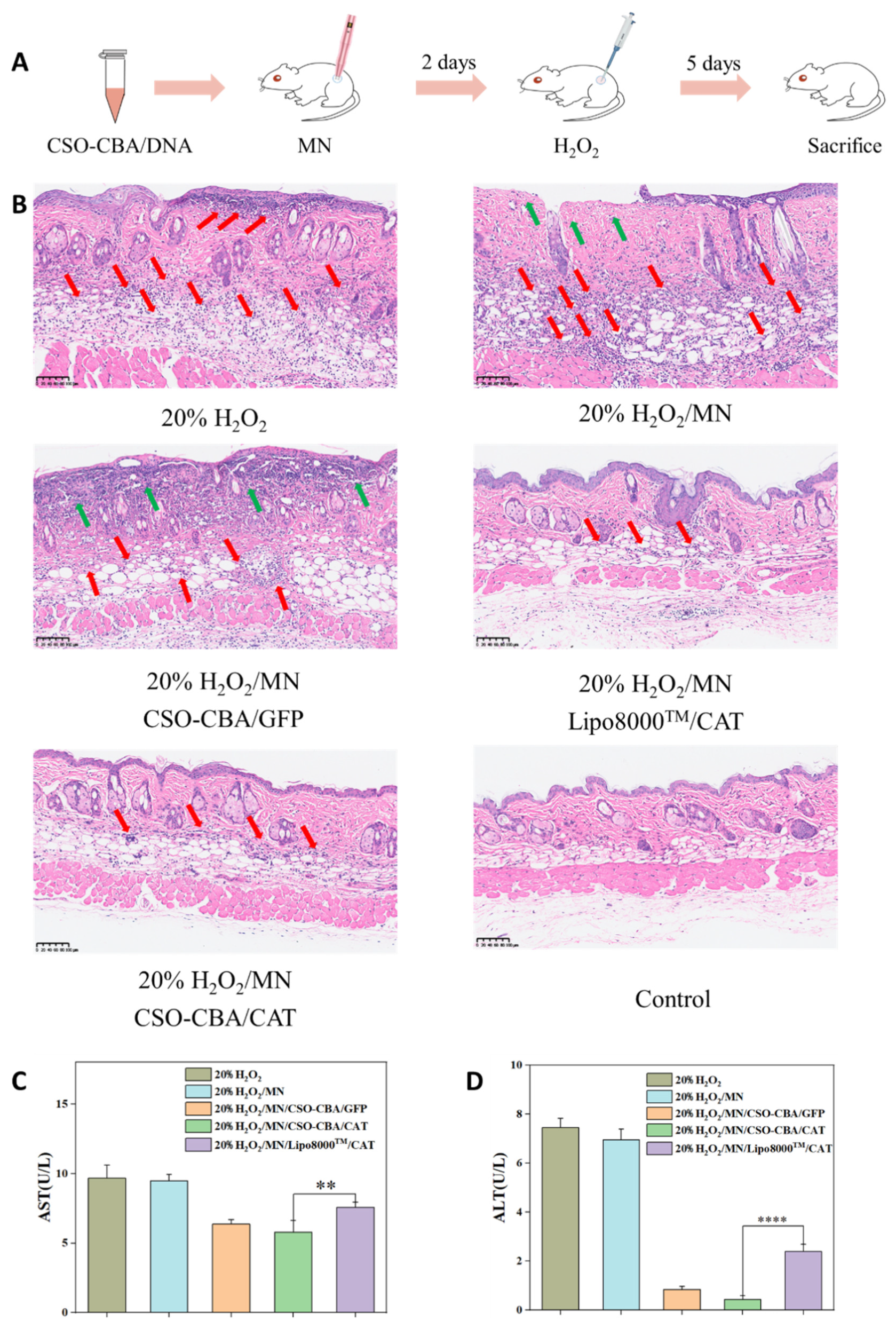 Jfb 13 00299 g007 Jfb 13 00299 g007