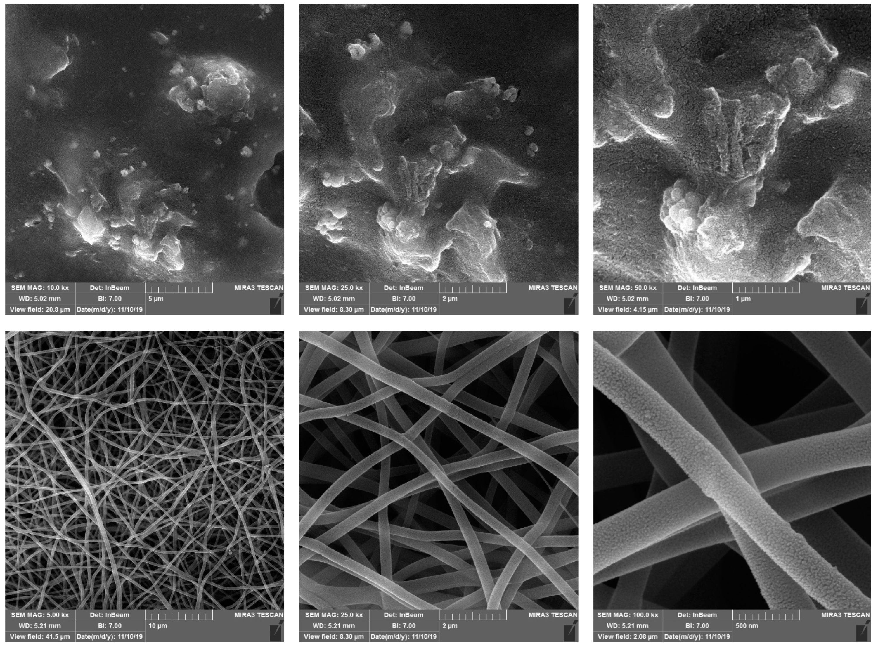 Jfb 13 00300 g002 Jfb 13 00300 g002