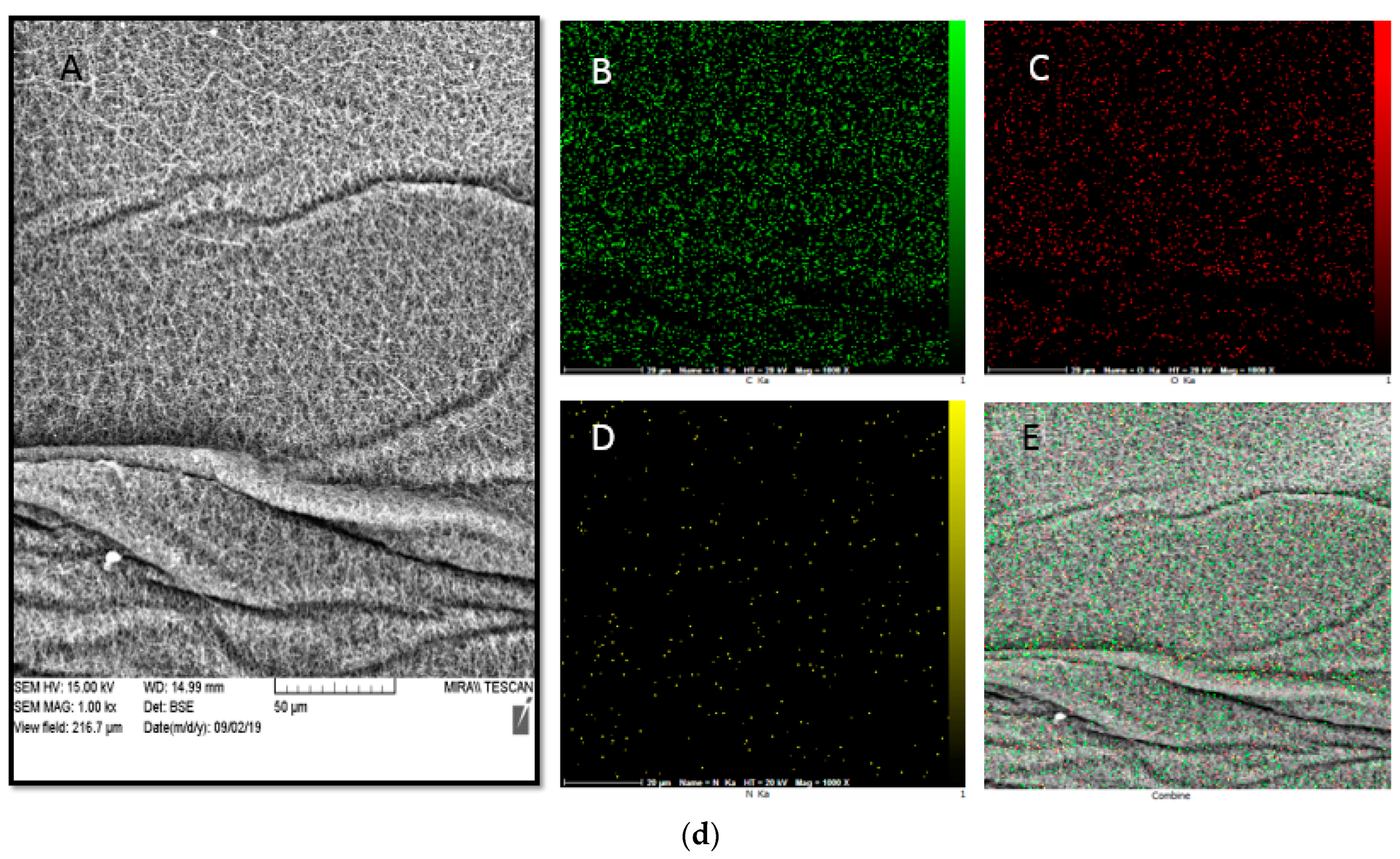 Jfb 13 00300 g006c Jfb 13 00300 g006c