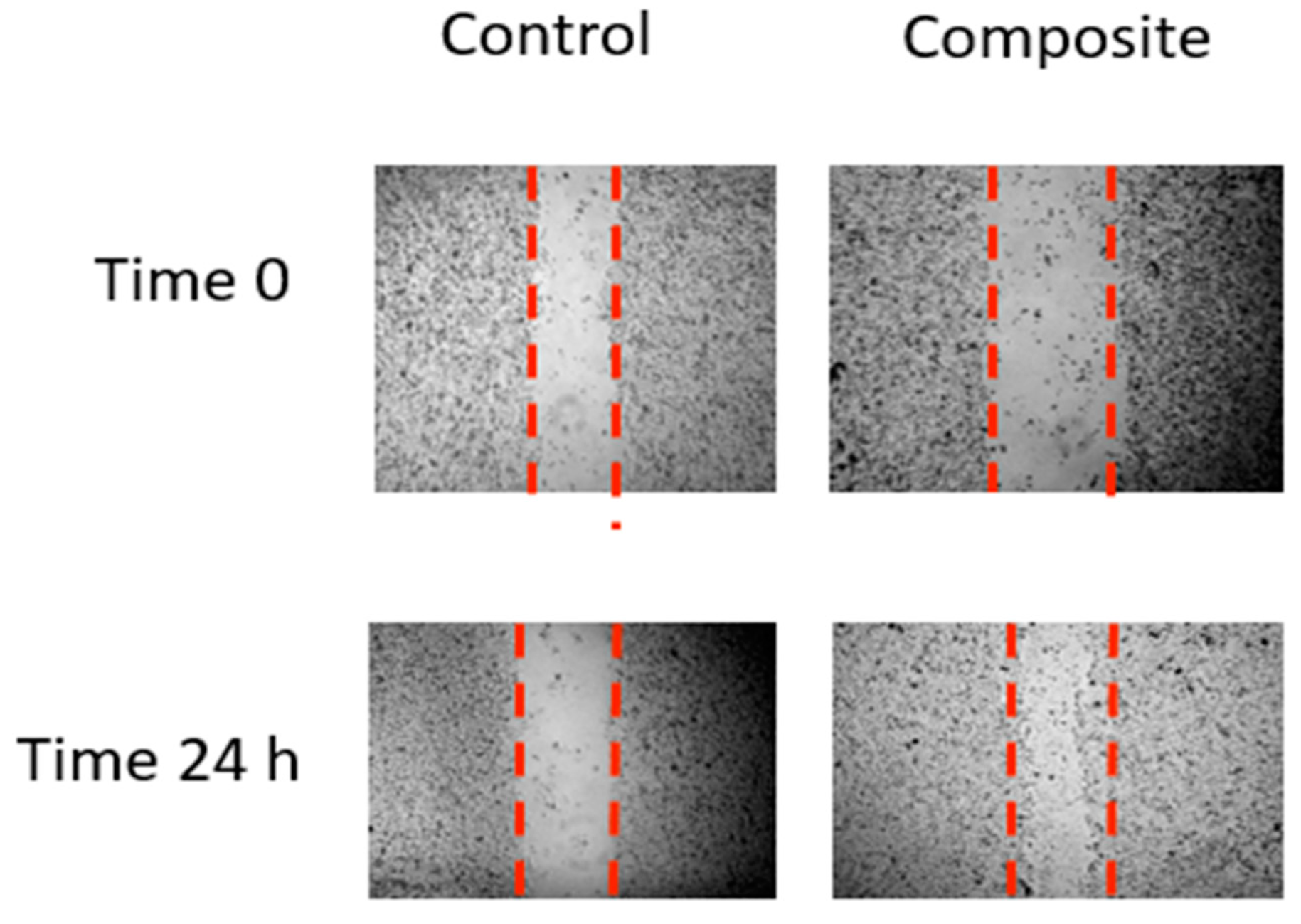 Jfb 13 00300 g012 Jfb 13 00300 g012