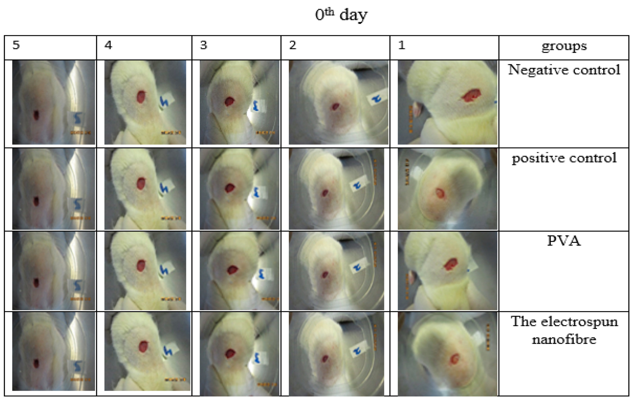 Jfb 13 00300 g013 Jfb 13 00300 g013