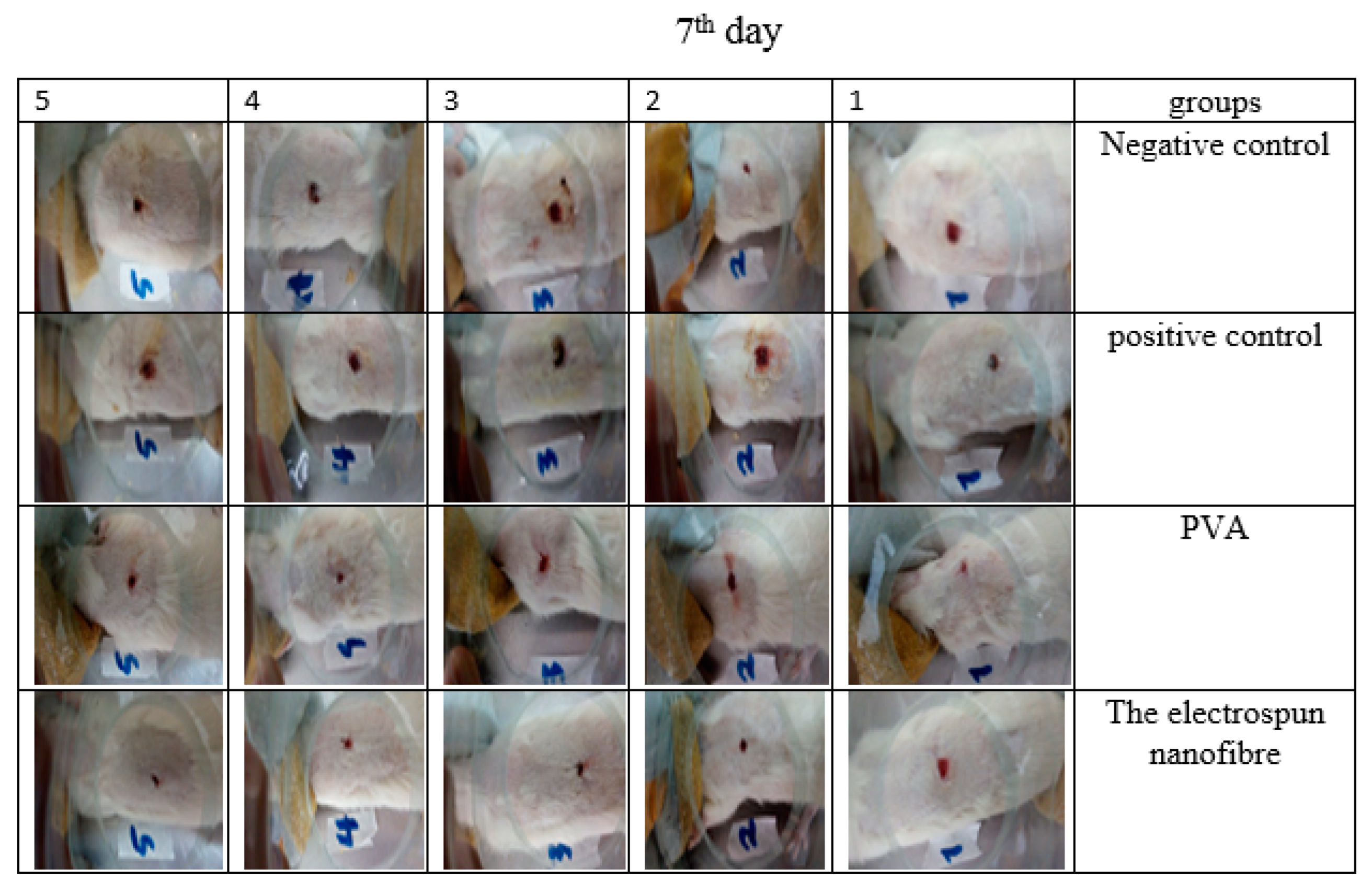 Jfb 13 00300 g014 Jfb 13 00300 g014