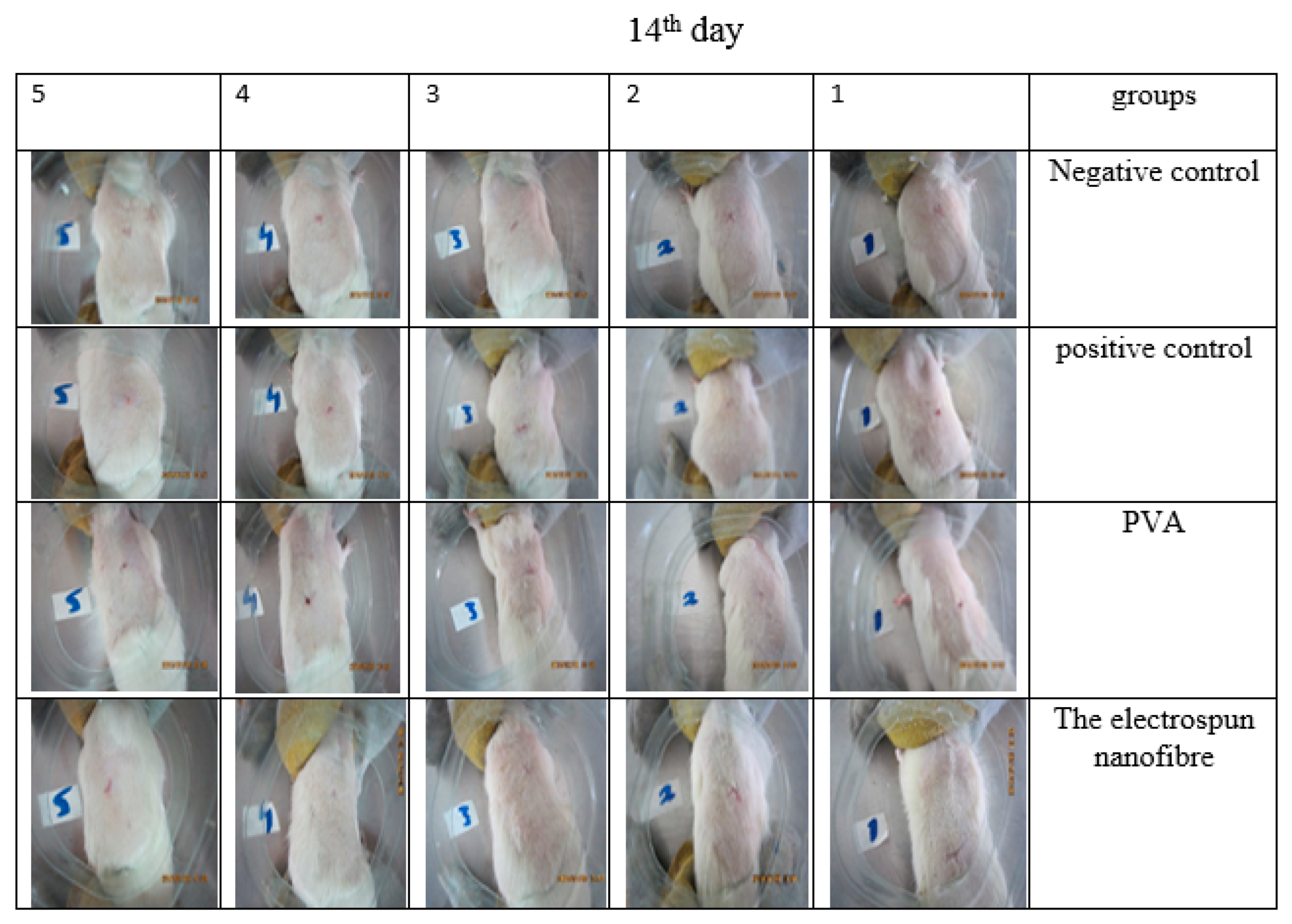 Jfb 13 00300 g015 Jfb 13 00300 g015