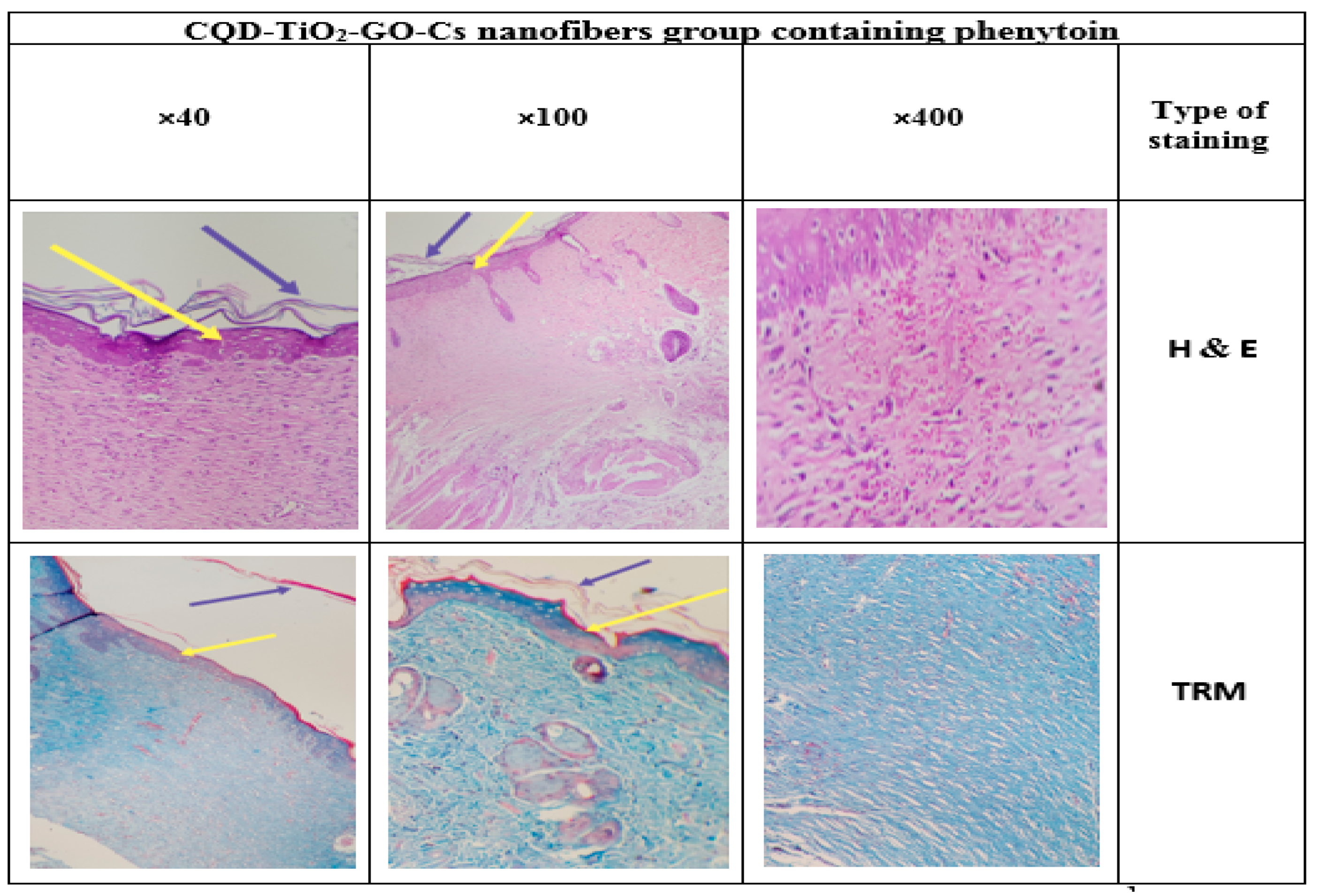 Jfb 13 00300 g020 Jfb 13 00300 g020