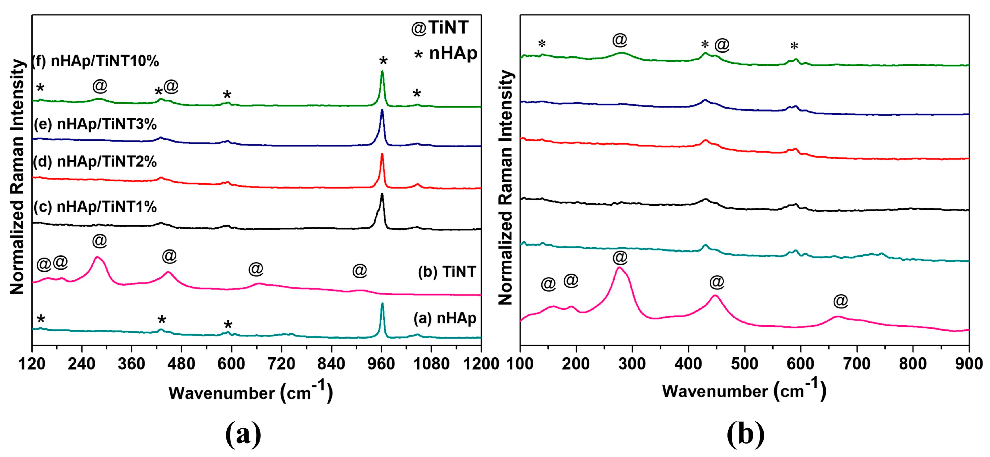 Jfb 13 00306 g003 Jfb 13 00306 g003
