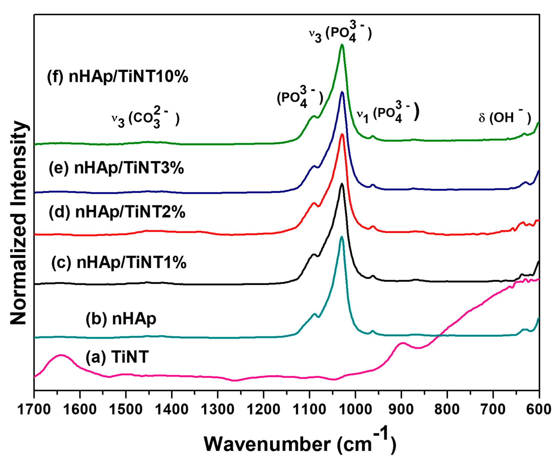 Jfb 13 00306 g004 Jfb 13 00306 g004