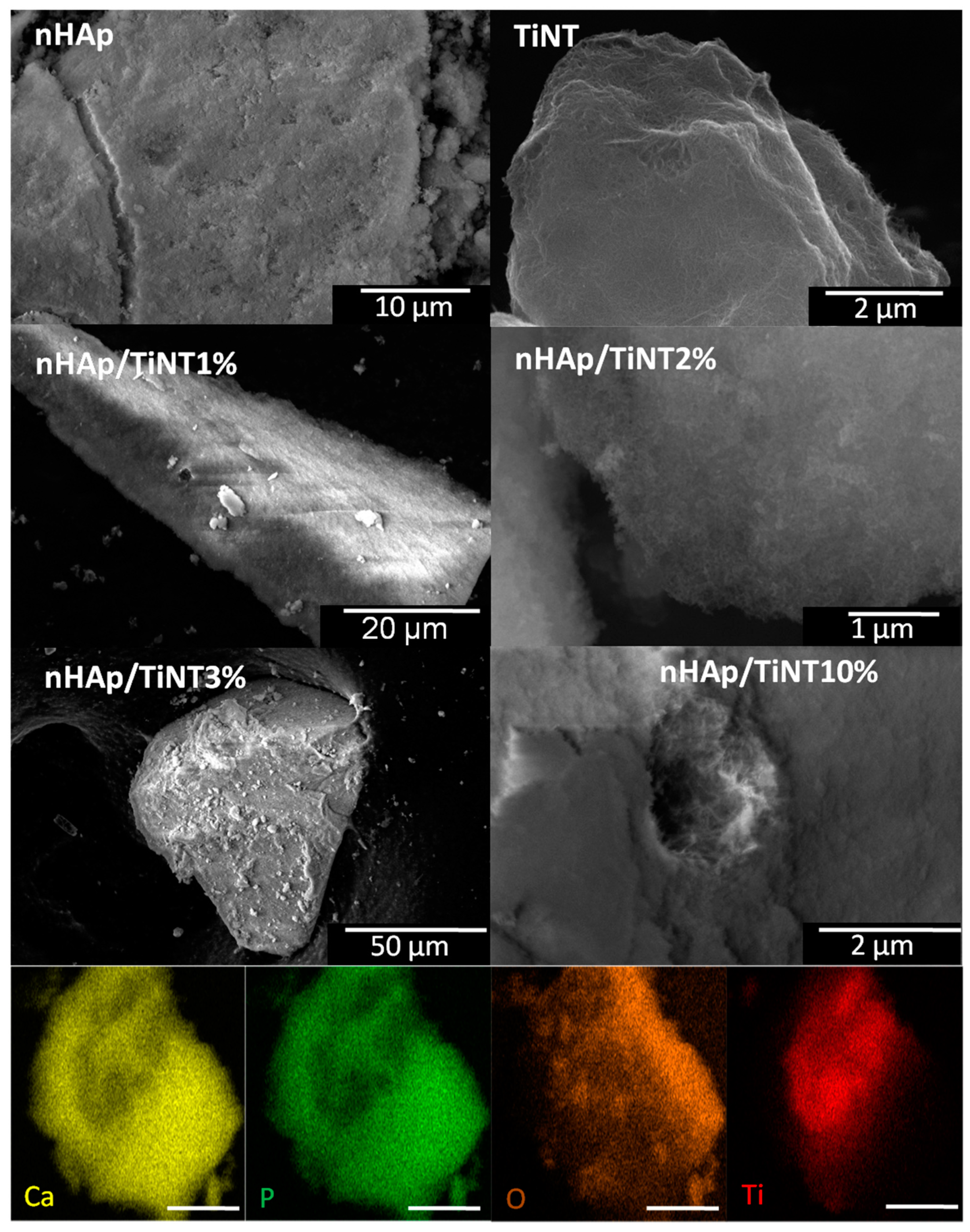 Jfb 13 00306 g005 Jfb 13 00306 g005