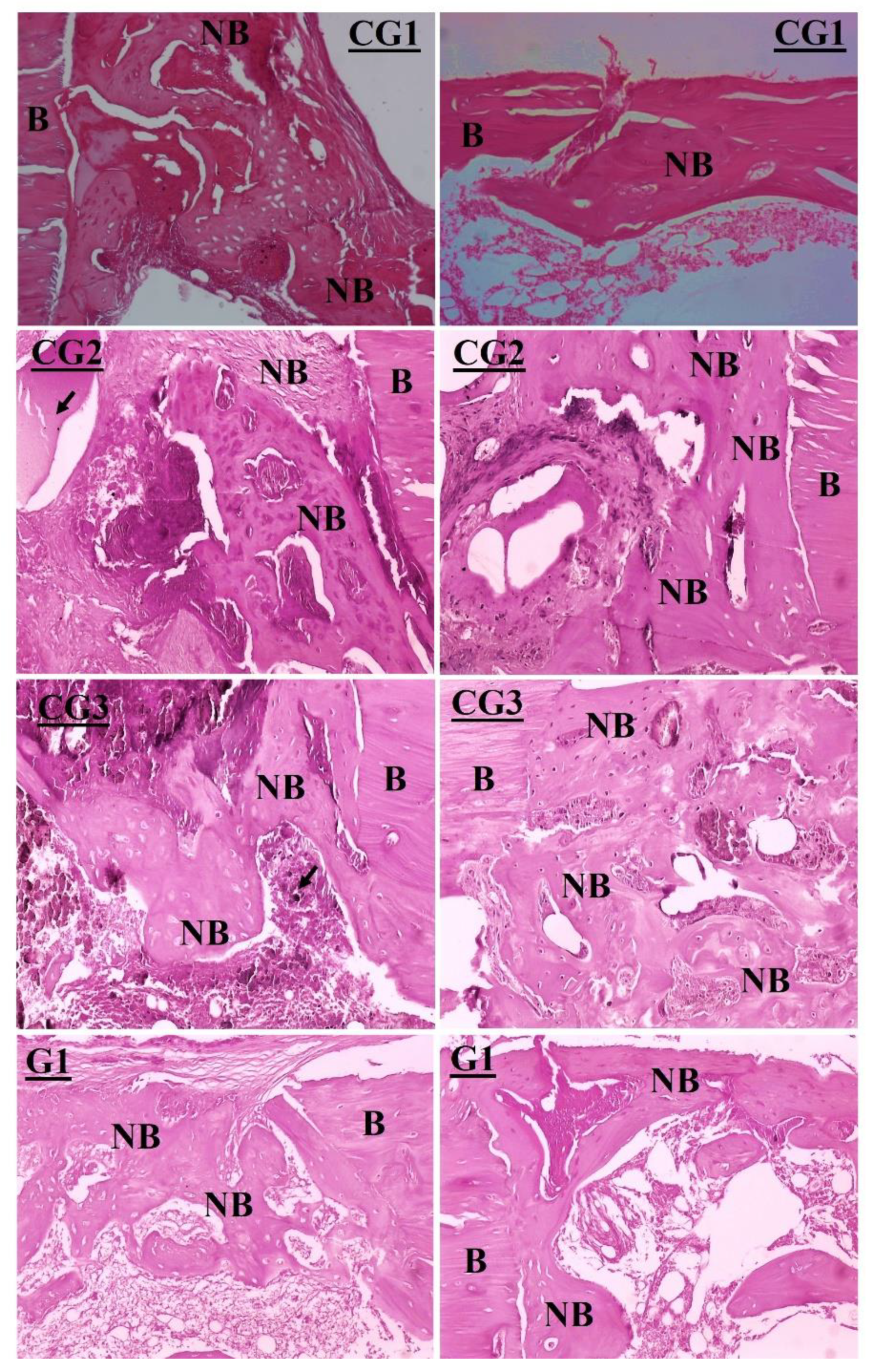 Jfb 13 00306 g009a Jfb 13 00306 g009a