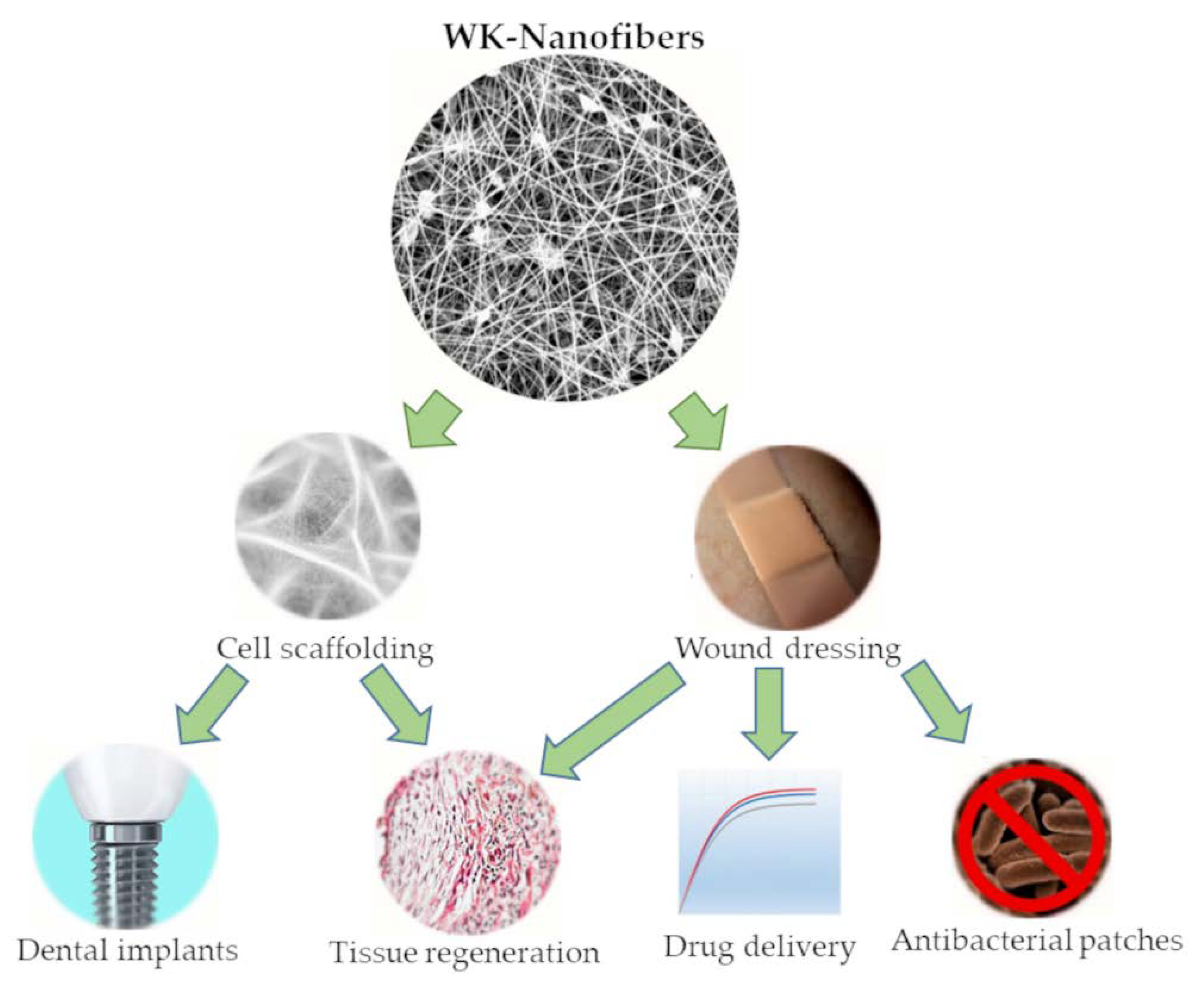 Jfb 14 00005 g002 Jfb 14 00005 g002