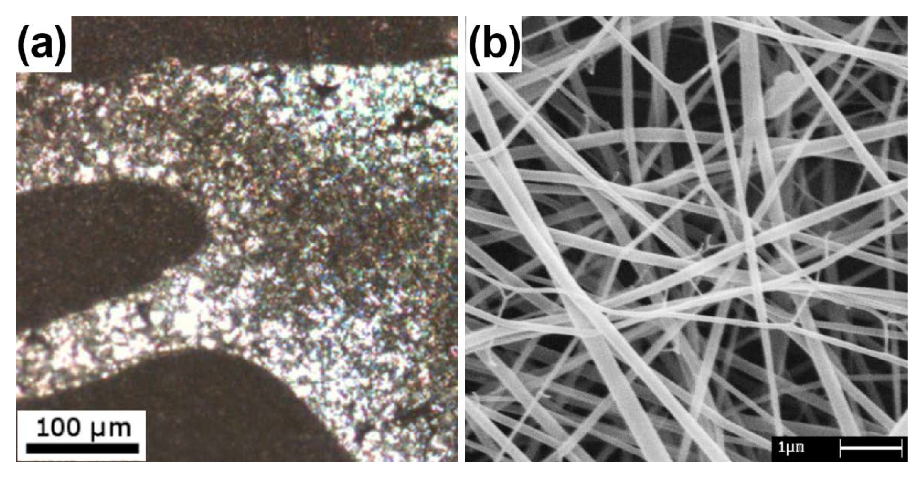 Jfb 14 00005 g006 Jfb 14 00005 g006