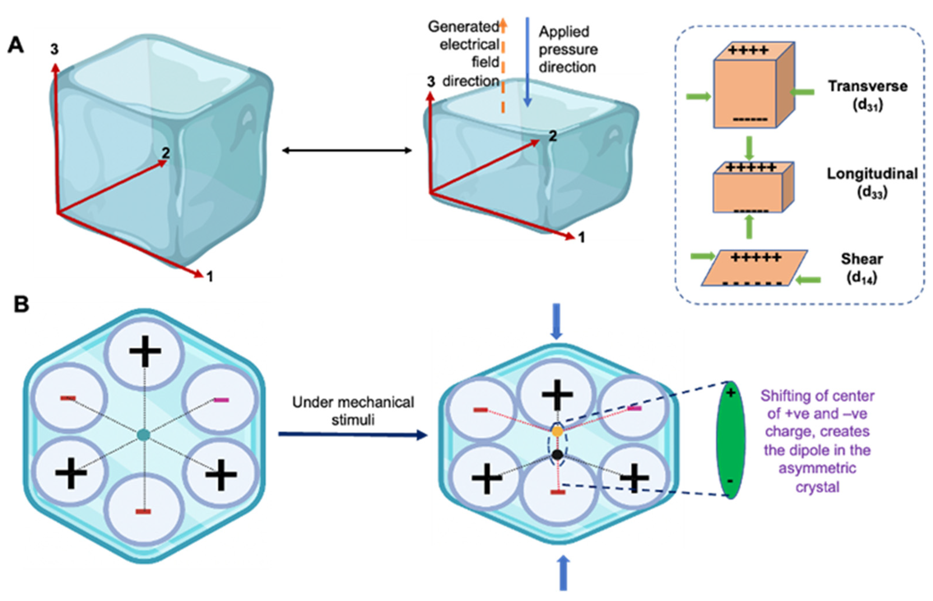 Jfb 14 00008 g002 Jfb 14 00008 g002