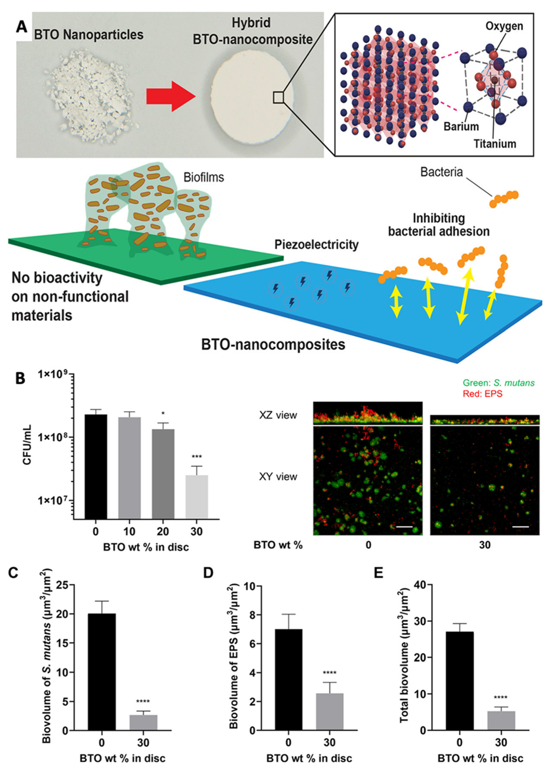 Jfb 14 00008 g004 Jfb 14 00008 g004