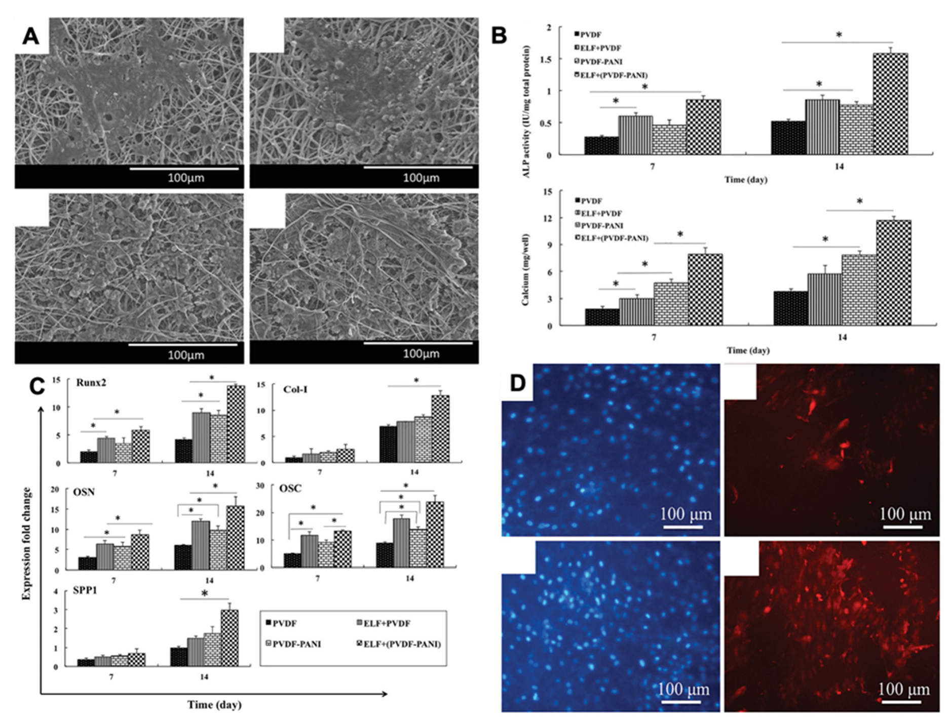 Jfb 14 00008 g005 Jfb 14 00008 g005