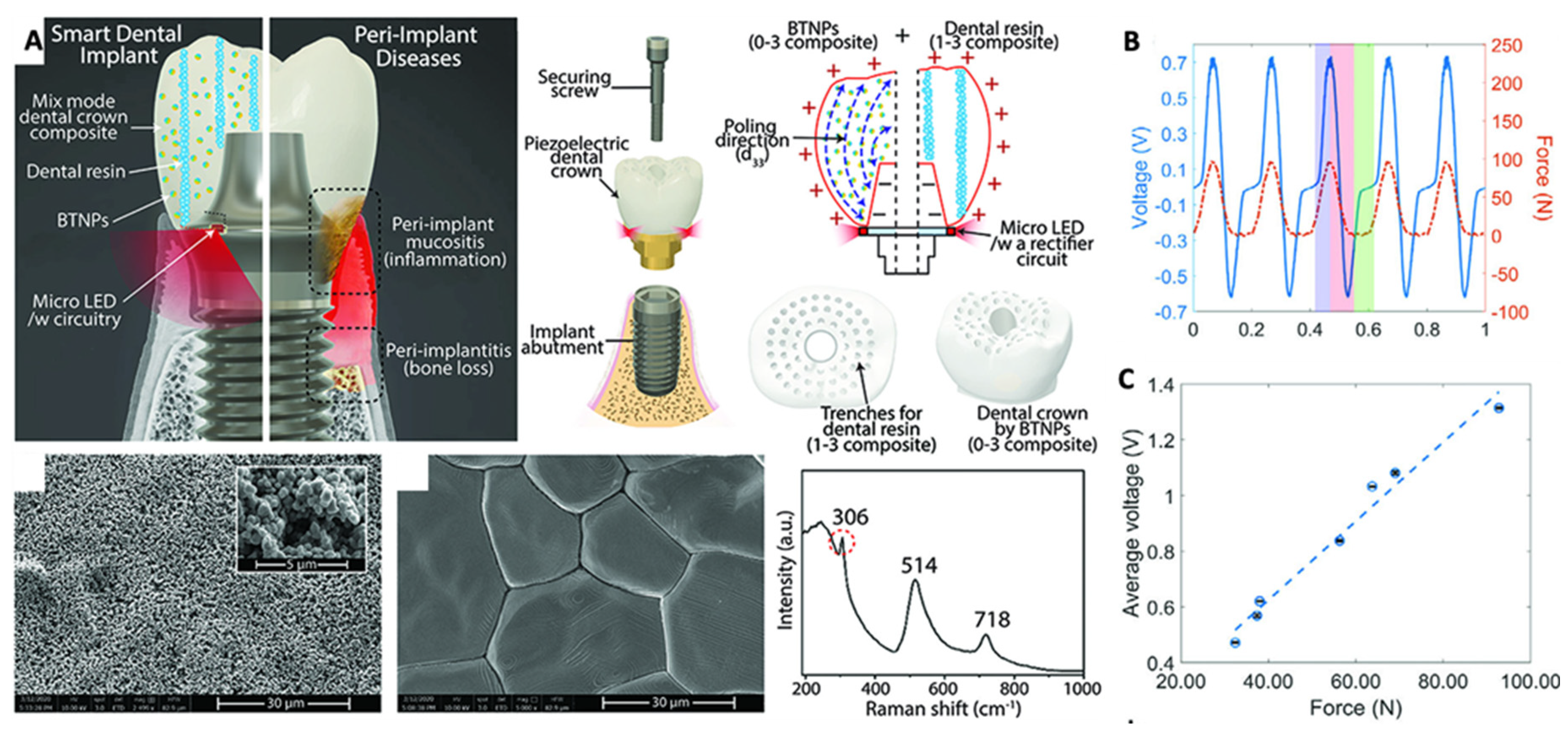 Jfb 14 00008 g006 Jfb 14 00008 g006