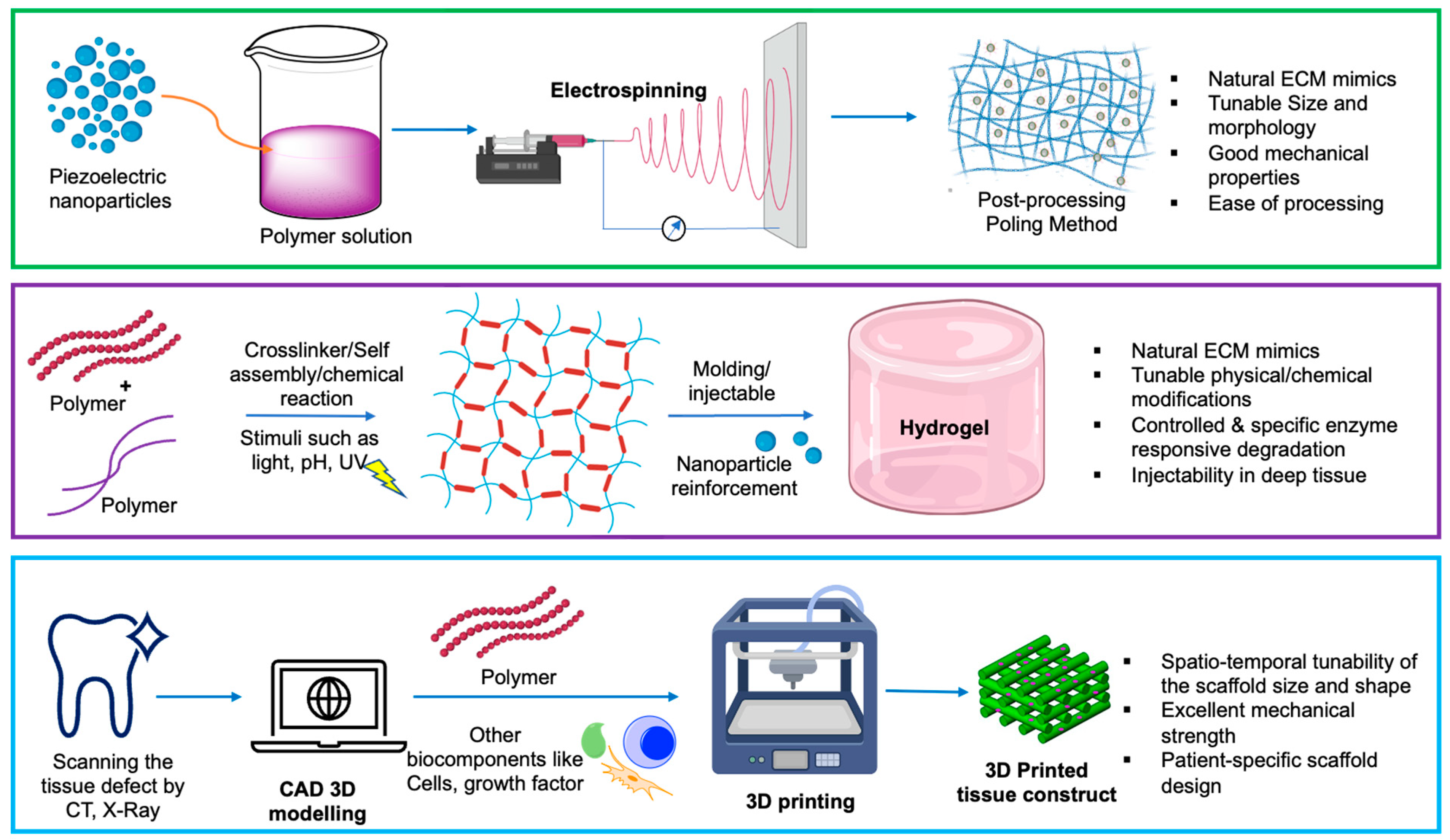 Jfb 14 00008 g008 Jfb 14 00008 g008