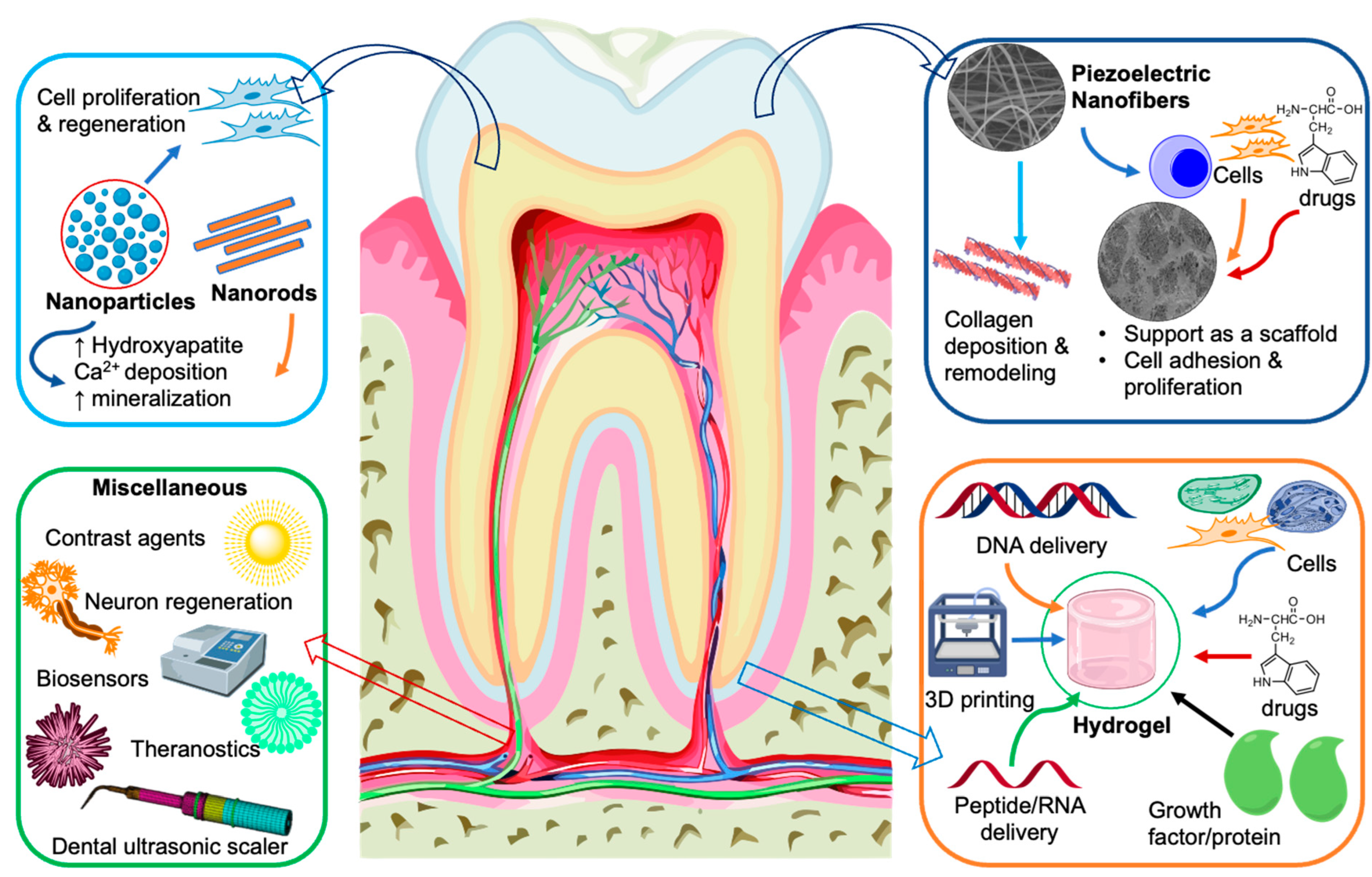 Jfb 14 00008 g009 Jfb 14 00008 g009