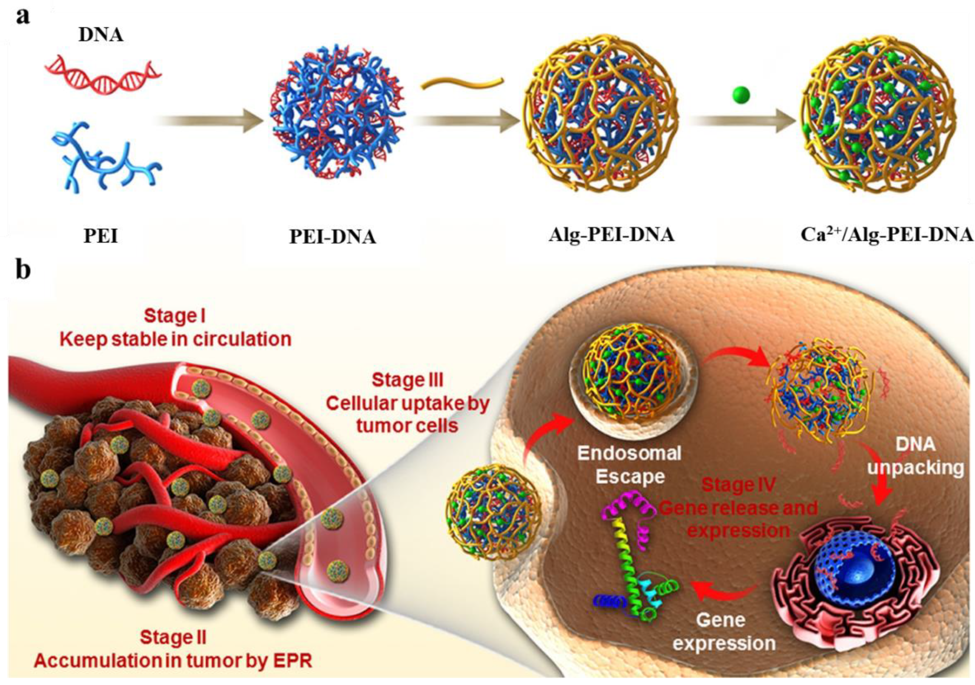 Jfb 14 00012 g009 Jfb 14 00012 g009