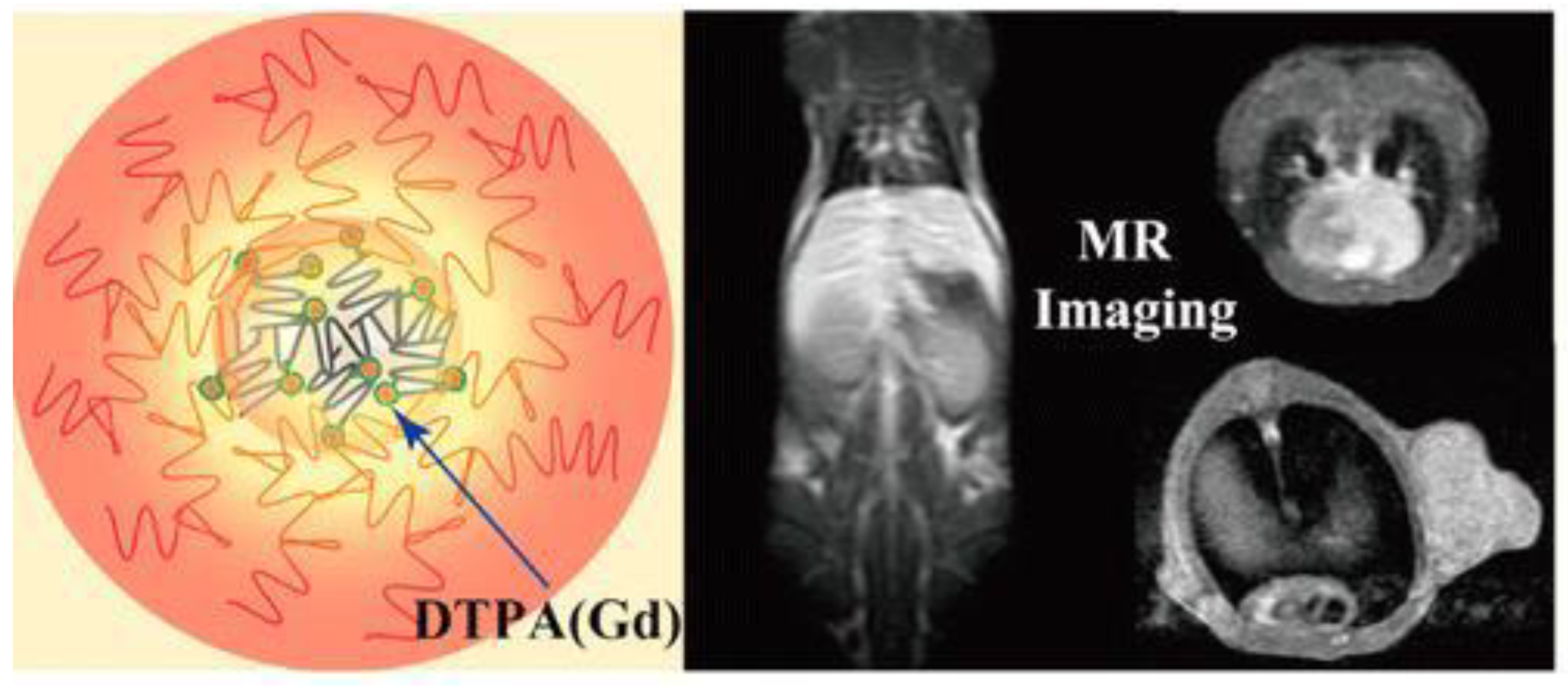 Jfb 14 00012 g010 Jfb 14 00012 g010