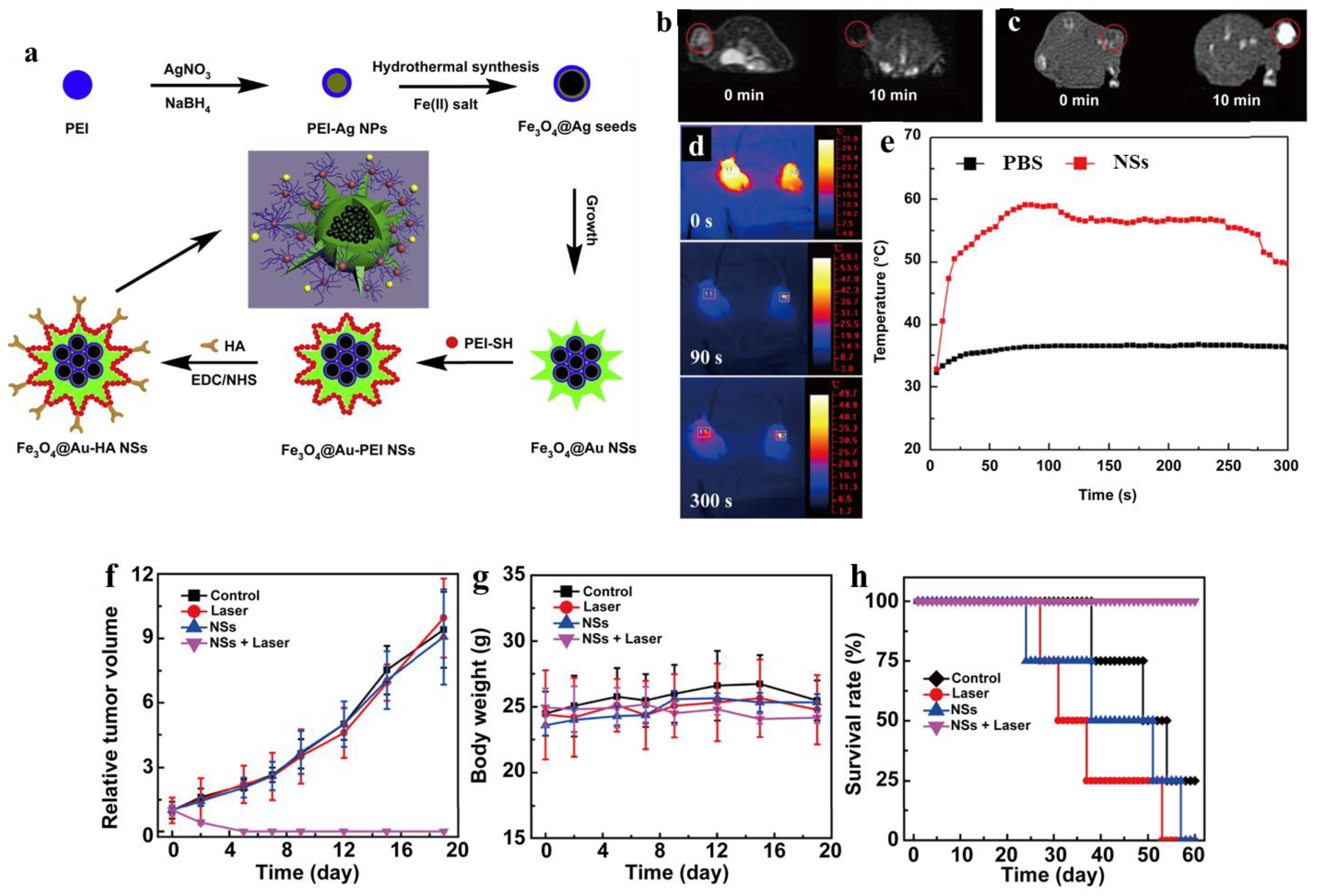 Jfb 14 00012 g011 Jfb 14 00012 g011