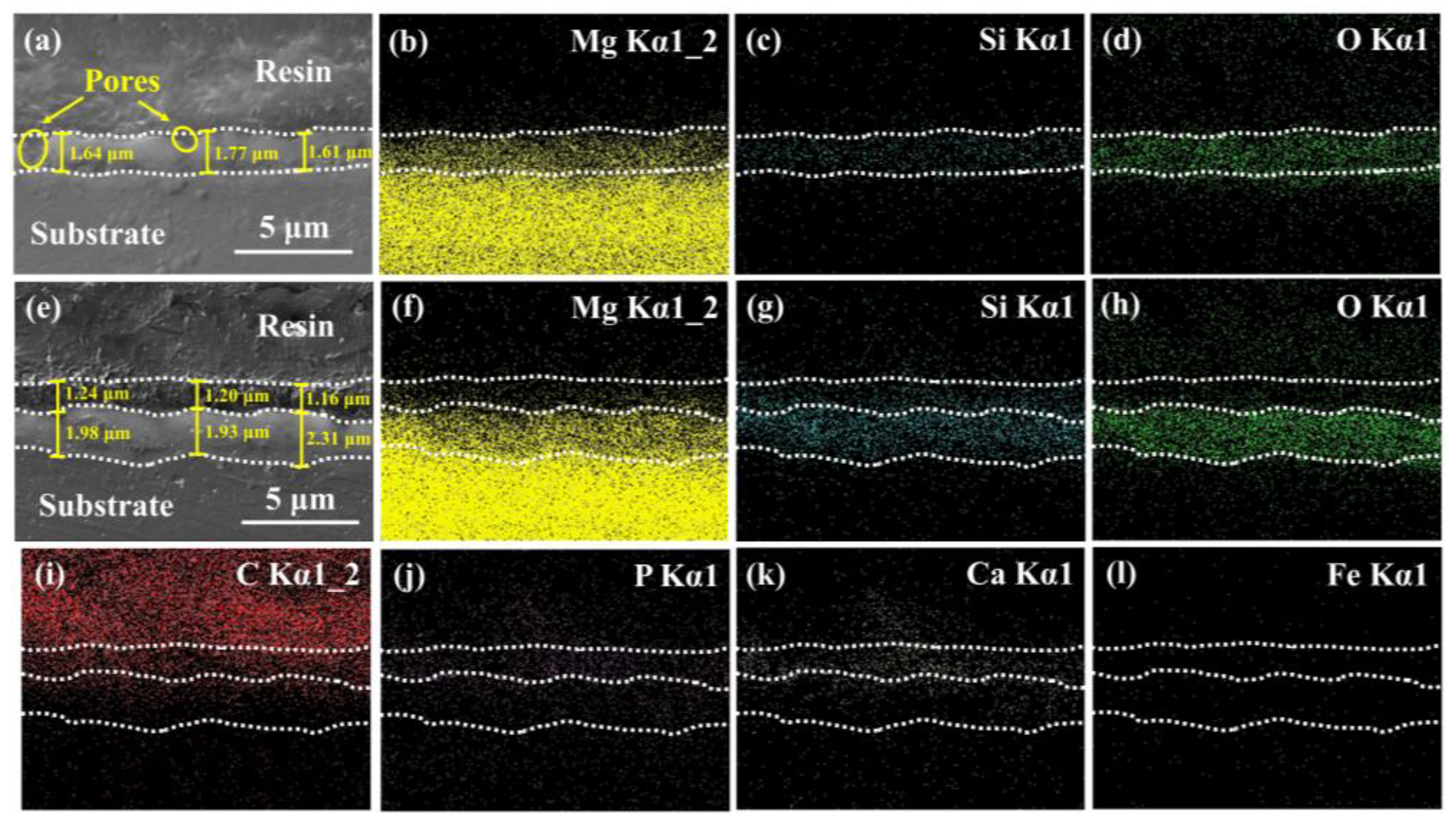 Jfb 14 00015 g003 Jfb 14 00015 g003