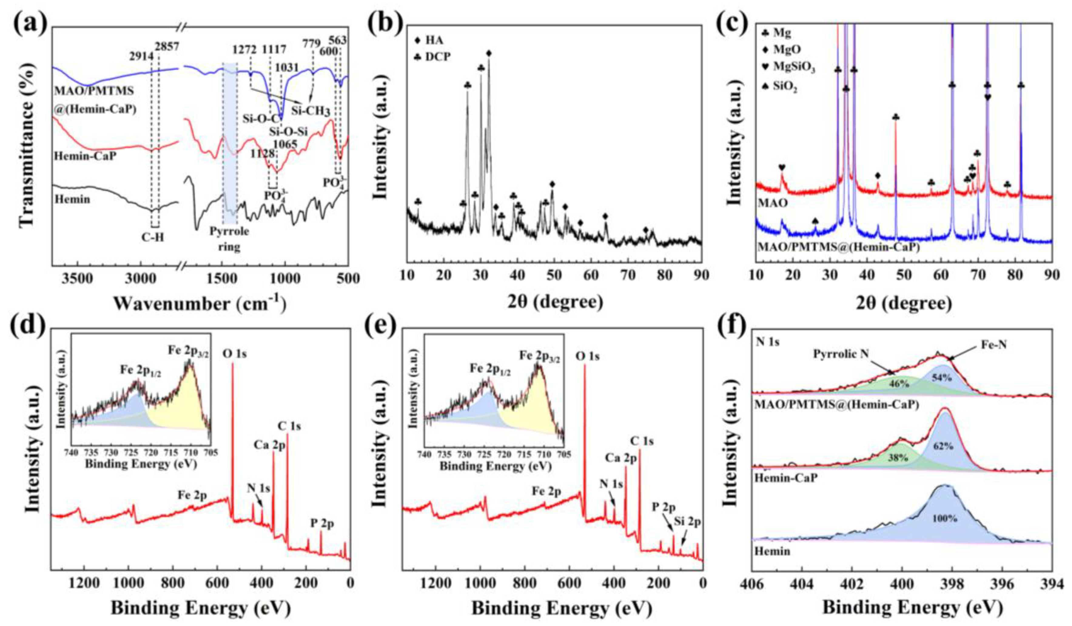 Jfb 14 00015 g004 Jfb 14 00015 g004