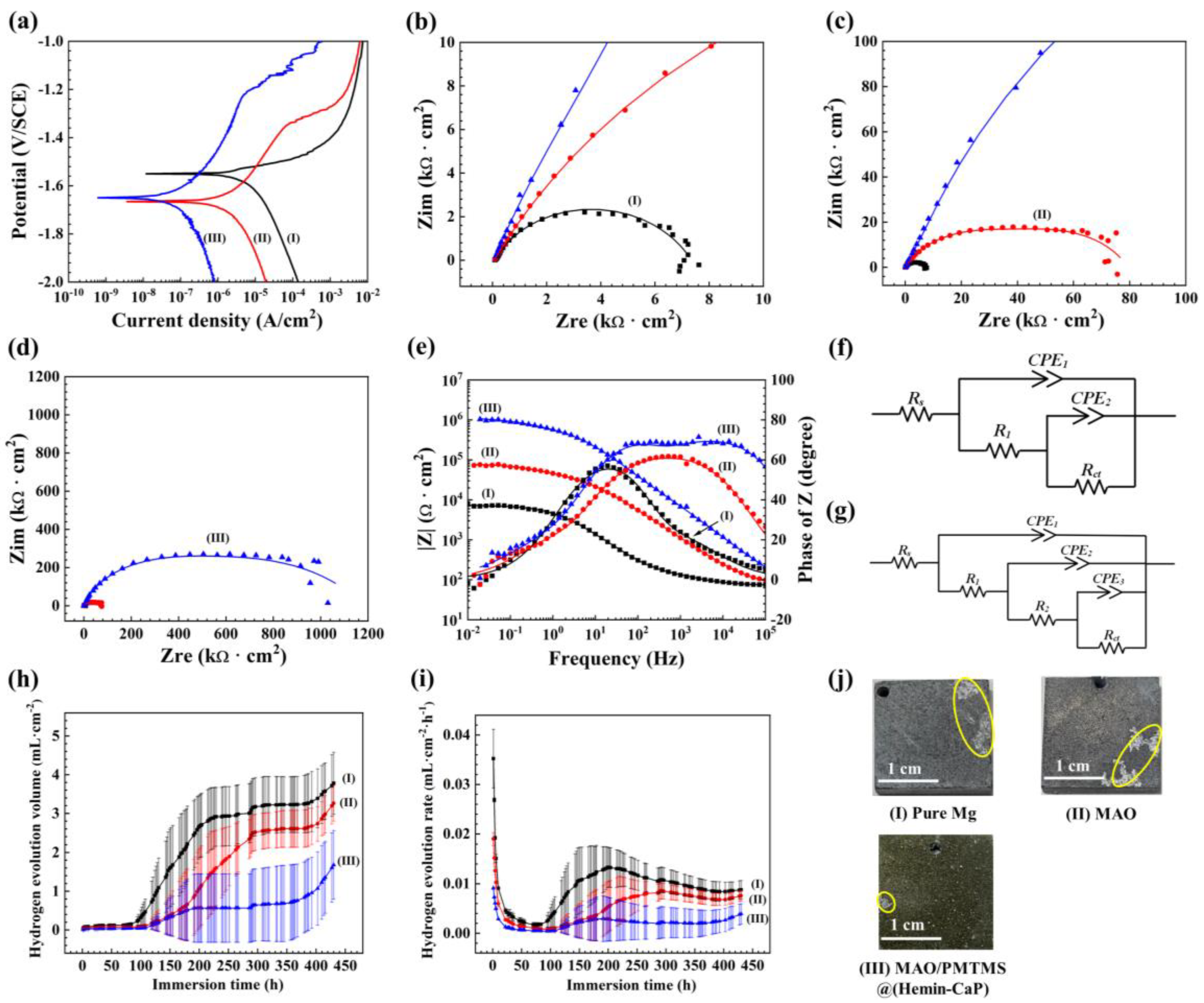 Jfb 14 00015 g005 Jfb 14 00015 g005