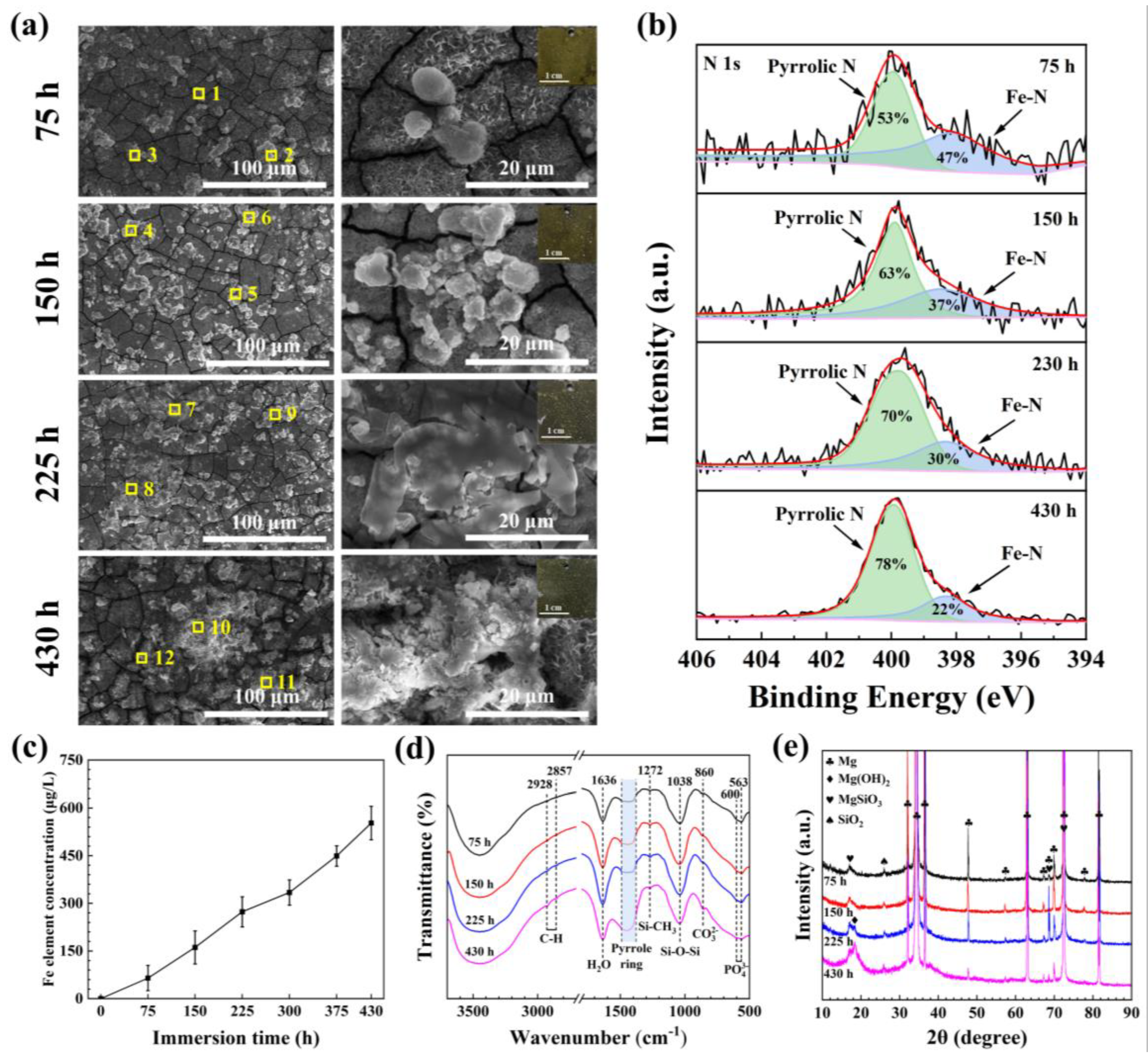 Jfb 14 00015 g006 Jfb 14 00015 g006