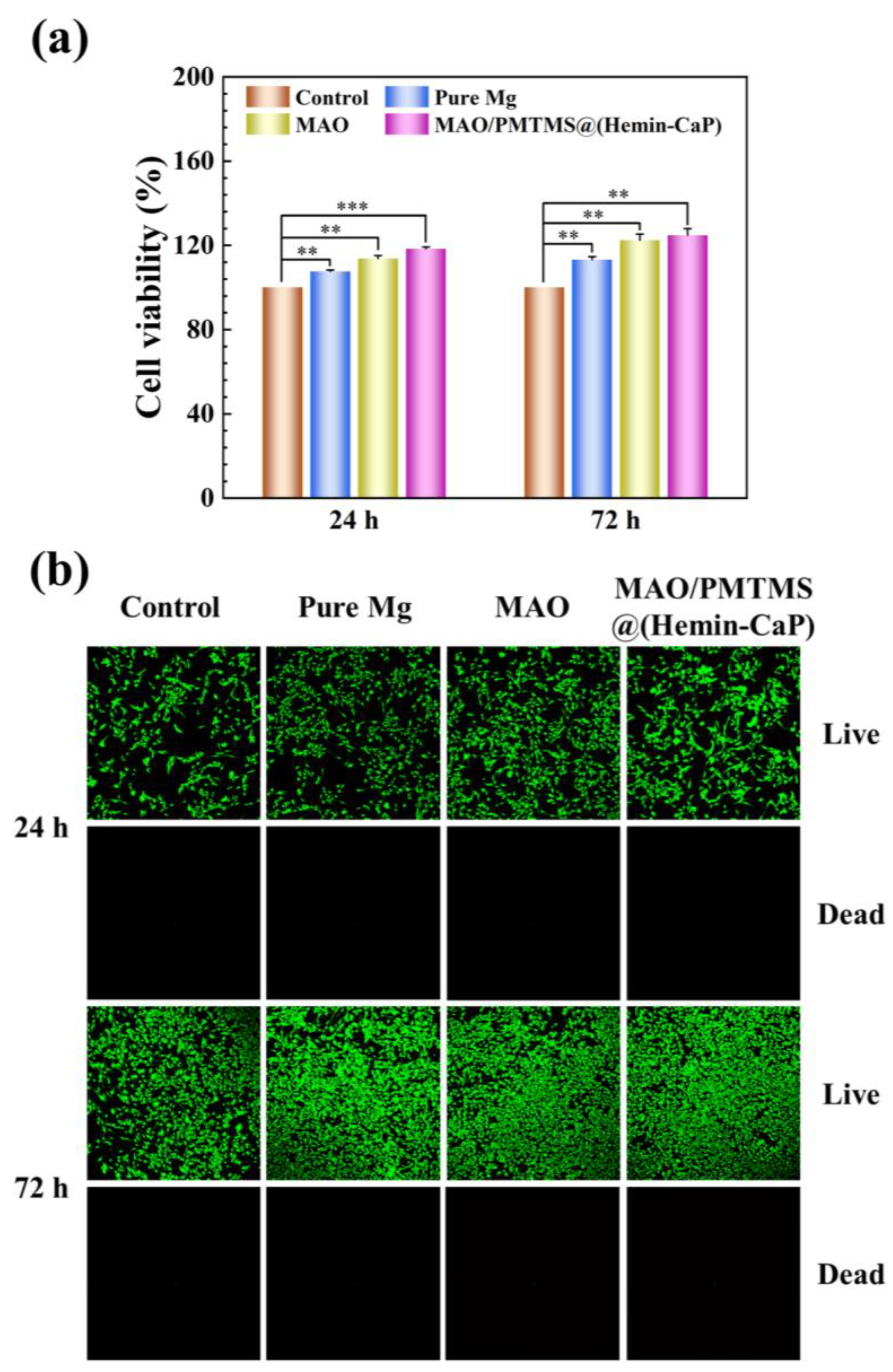 Jfb 14 00015 g009 Jfb 14 00015 g009