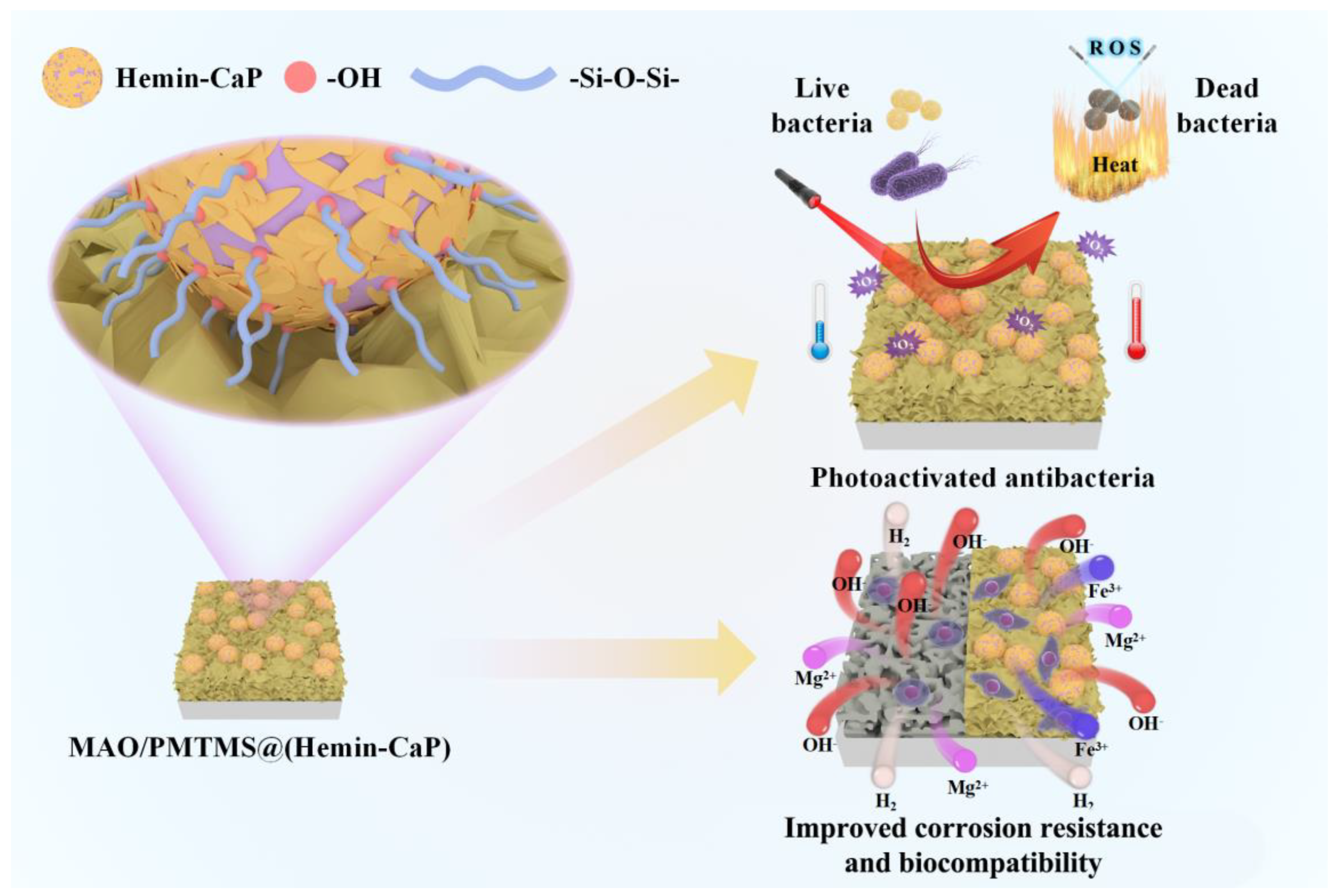 Jfb 14 00015 g011 Jfb 14 00015 g011