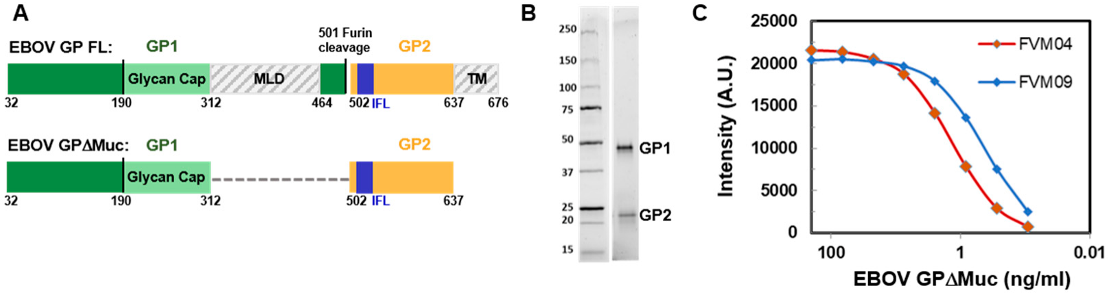 Jfb 14 00016 g001 Jfb 14 00016 g001