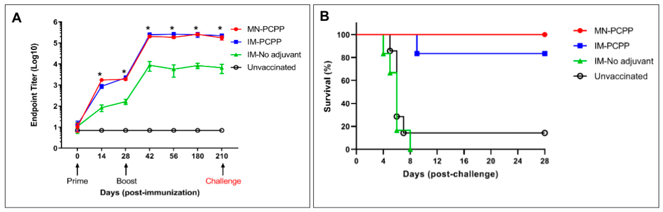 Jfb 14 00016 g006 Jfb 14 00016 g006