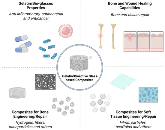 Gelatin and Bioactive Glass Composites for Tissue Engineering: A 