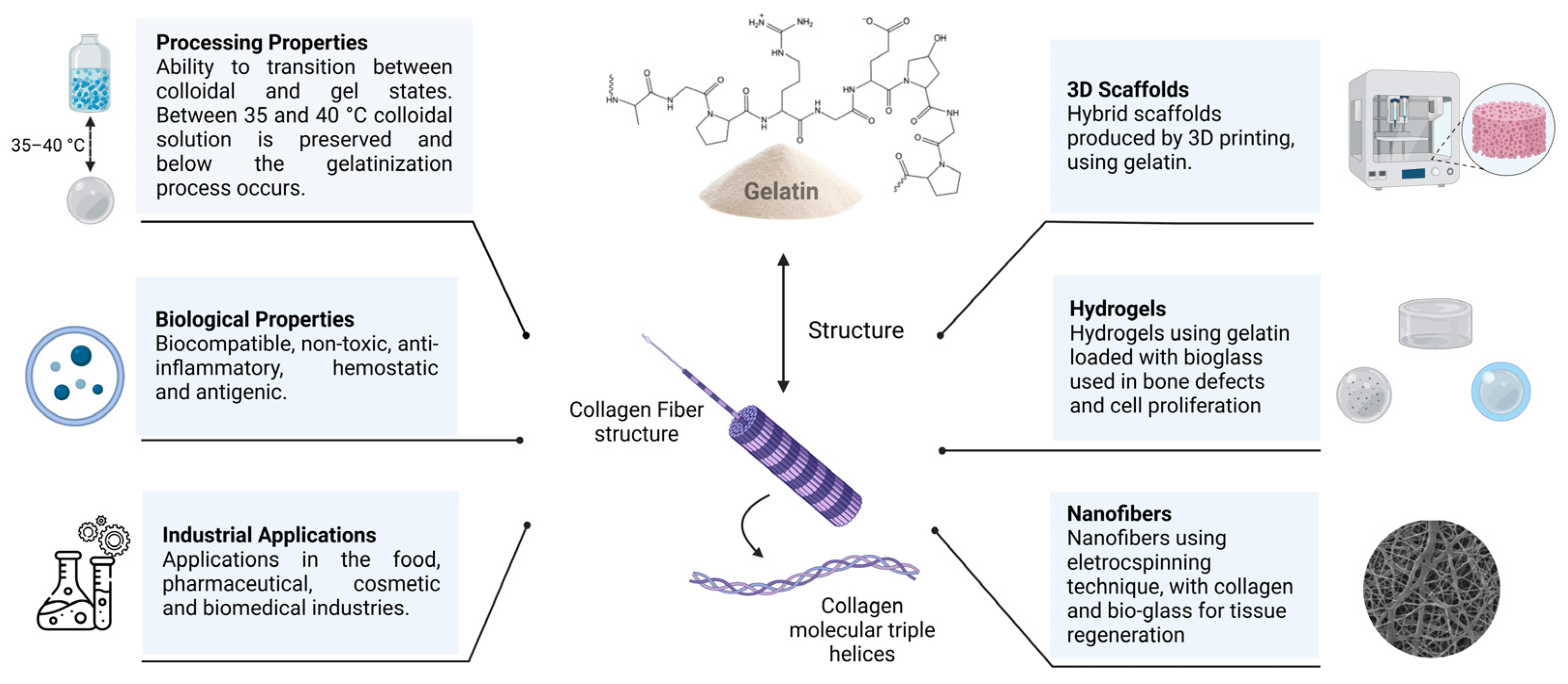 Jfb 14 00023 g005 Jfb 14 00023 g005