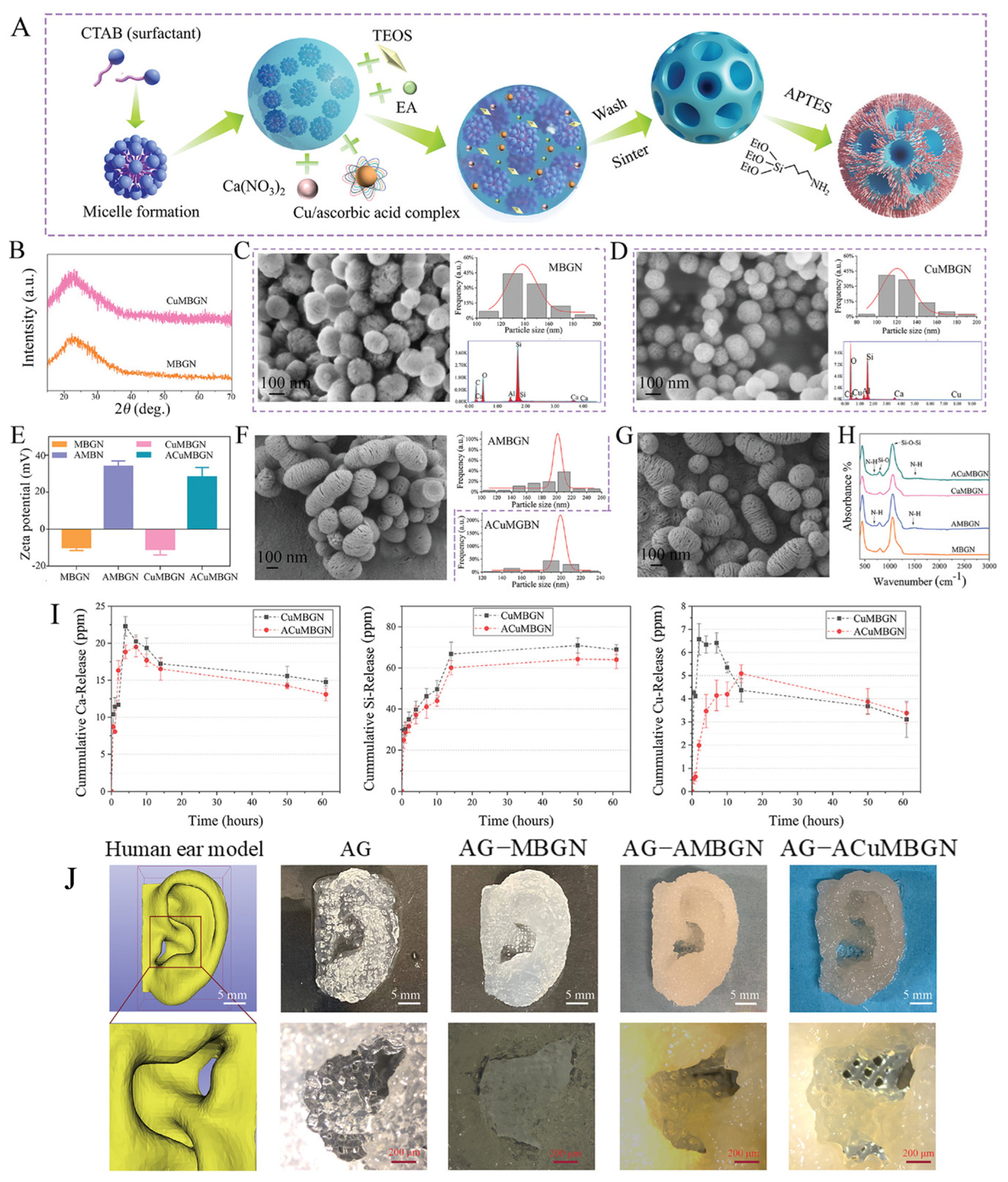Jfb 14 00023 g006 Jfb 14 00023 g006
