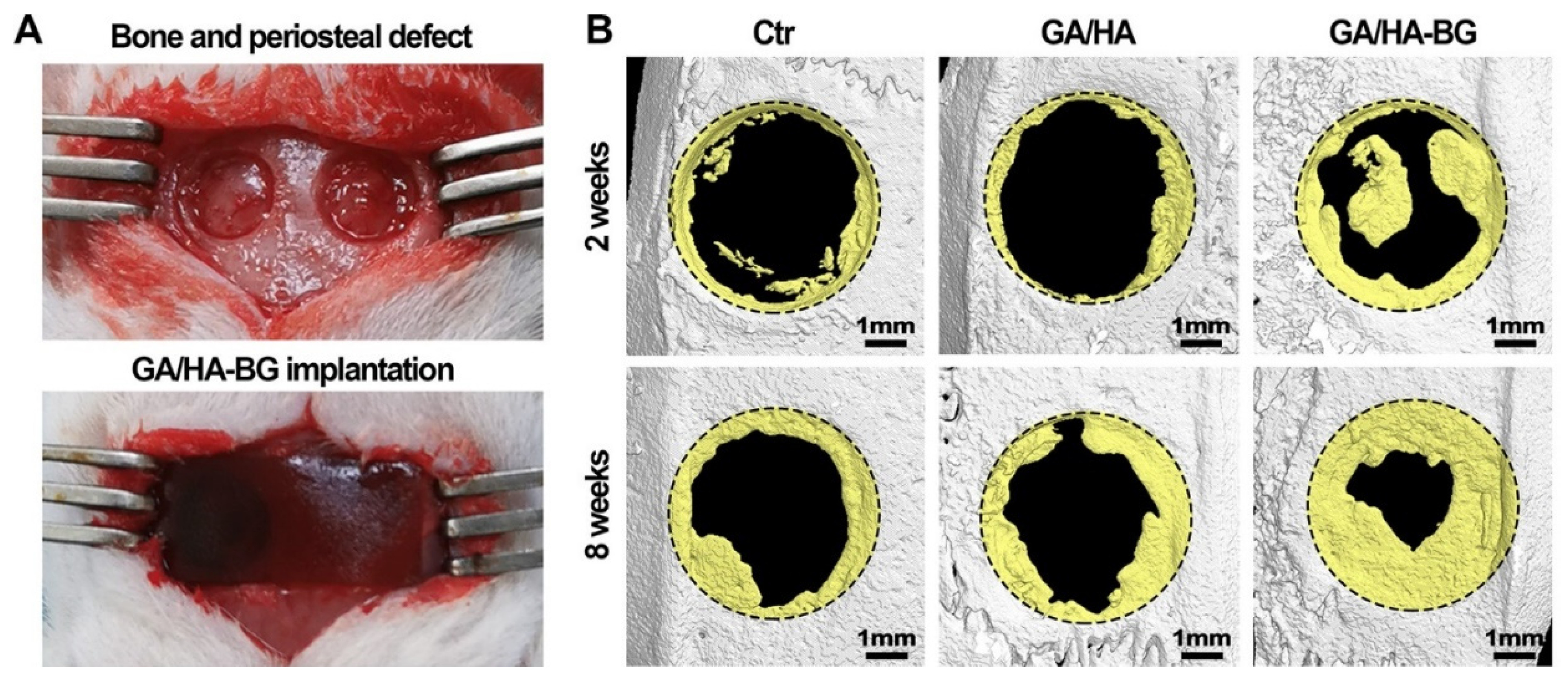 Jfb 14 00023 g008 Jfb 14 00023 g008