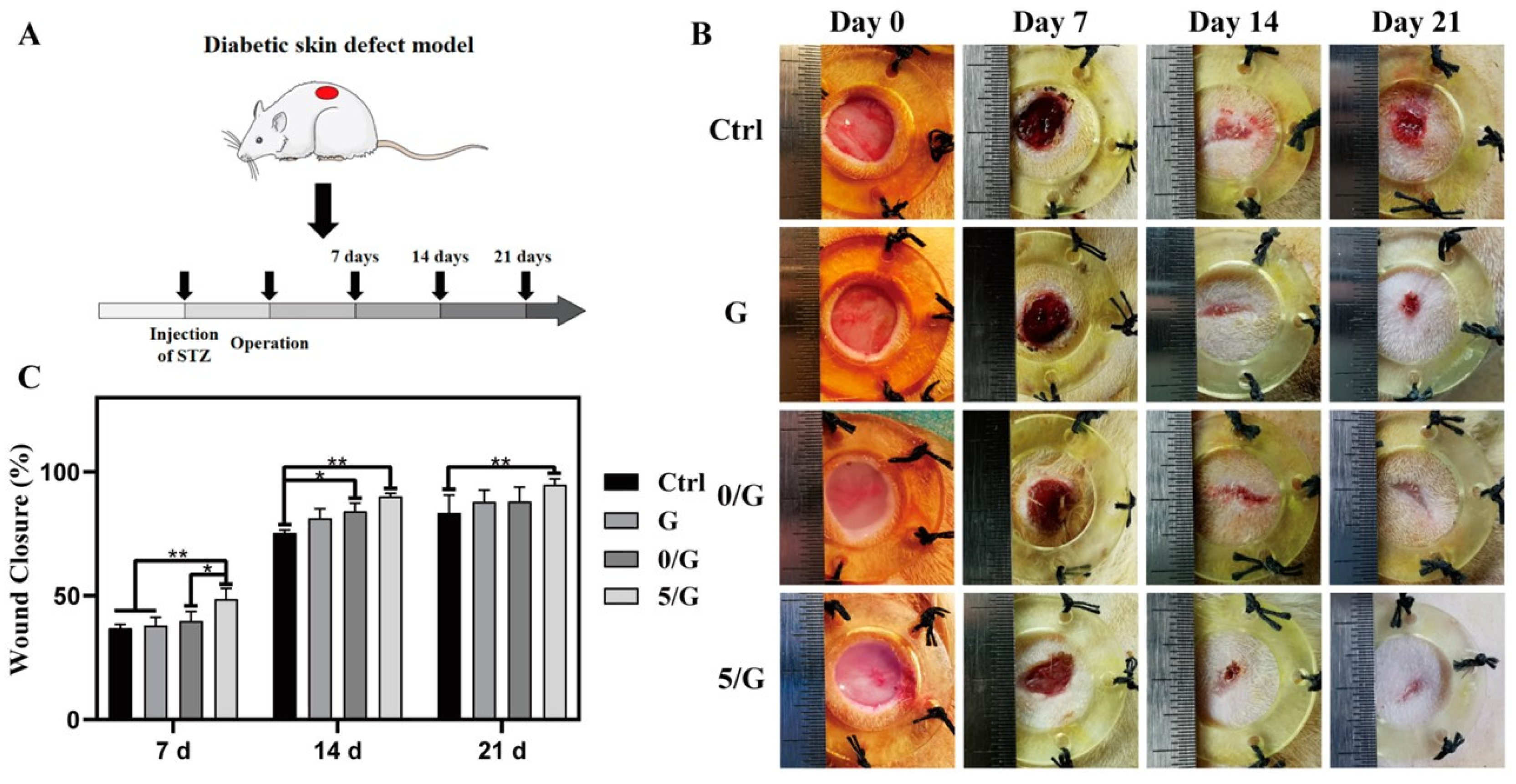 Jfb 14 00023 g010 Jfb 14 00023 g010