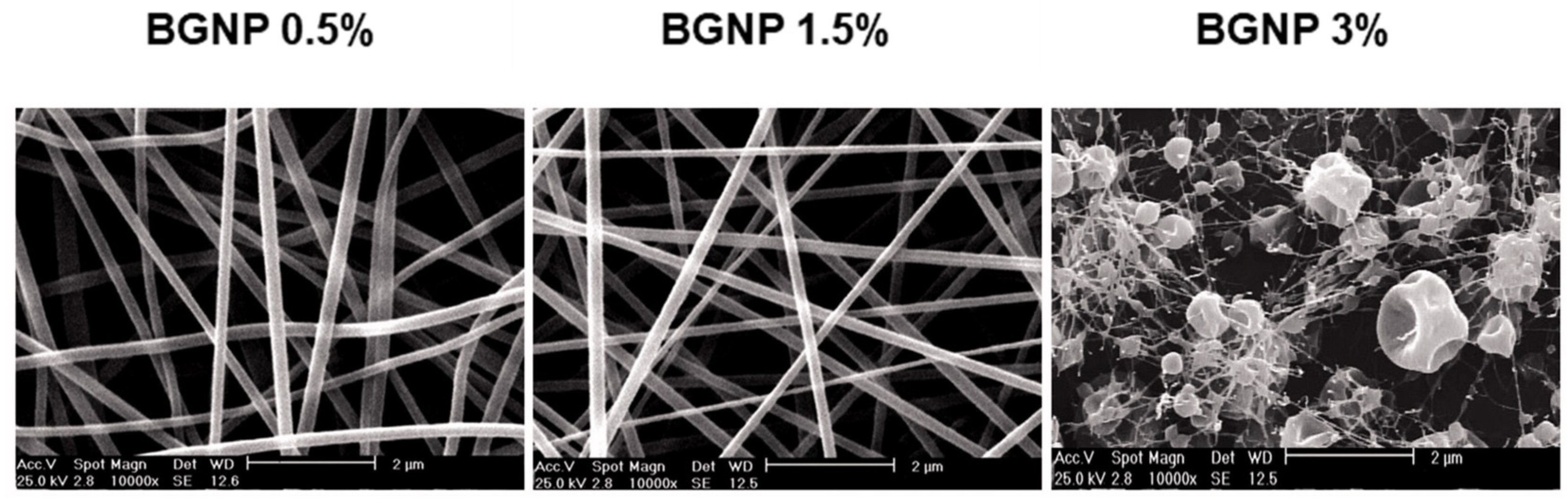 Jfb 14 00023 g012 Jfb 14 00023 g012